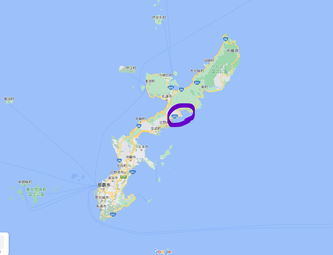 辺野古基地の沖縄県での位置（地図）