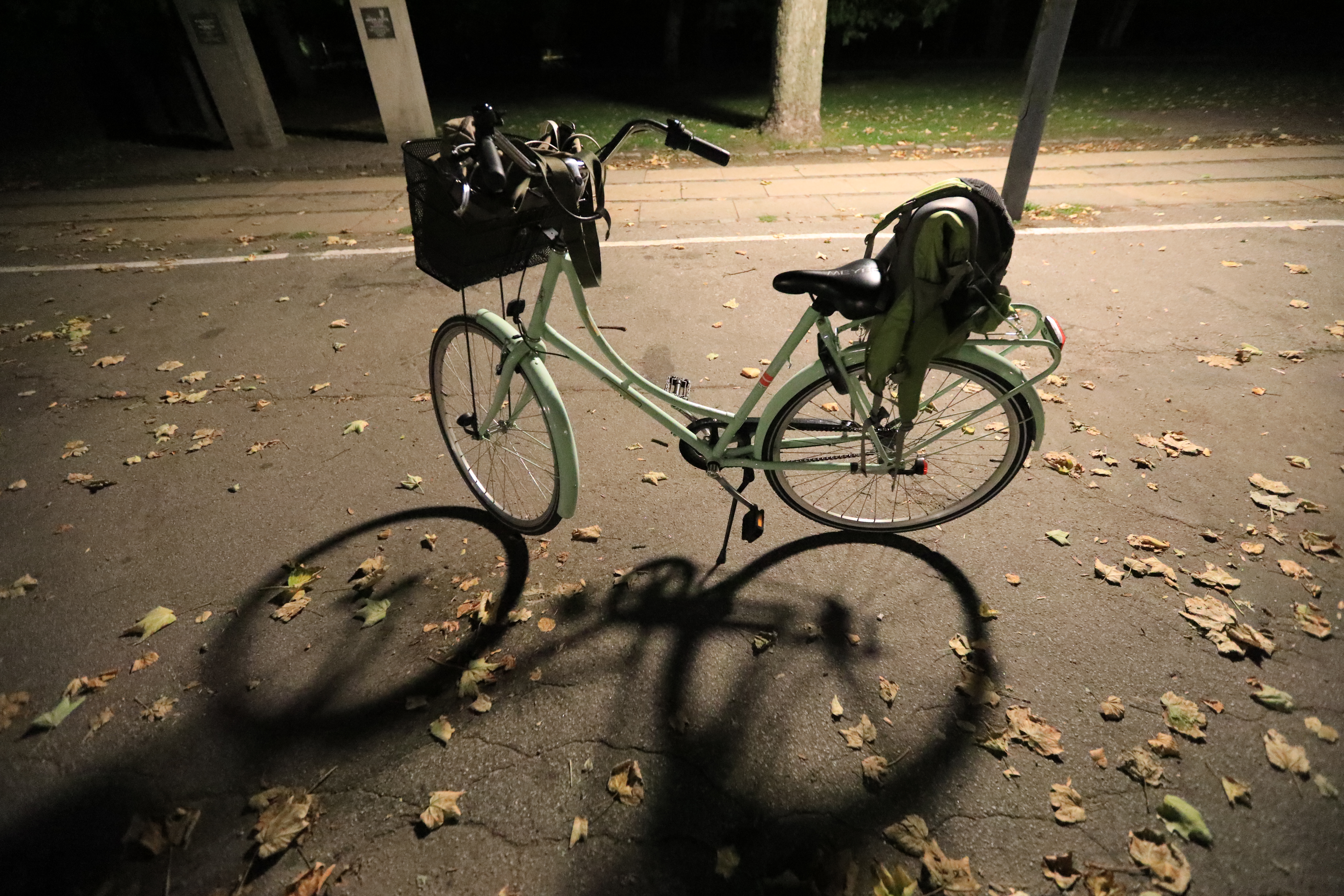 コペンハーゲンで借りた自転車、ブレーキは前輪とペダルブレーキ