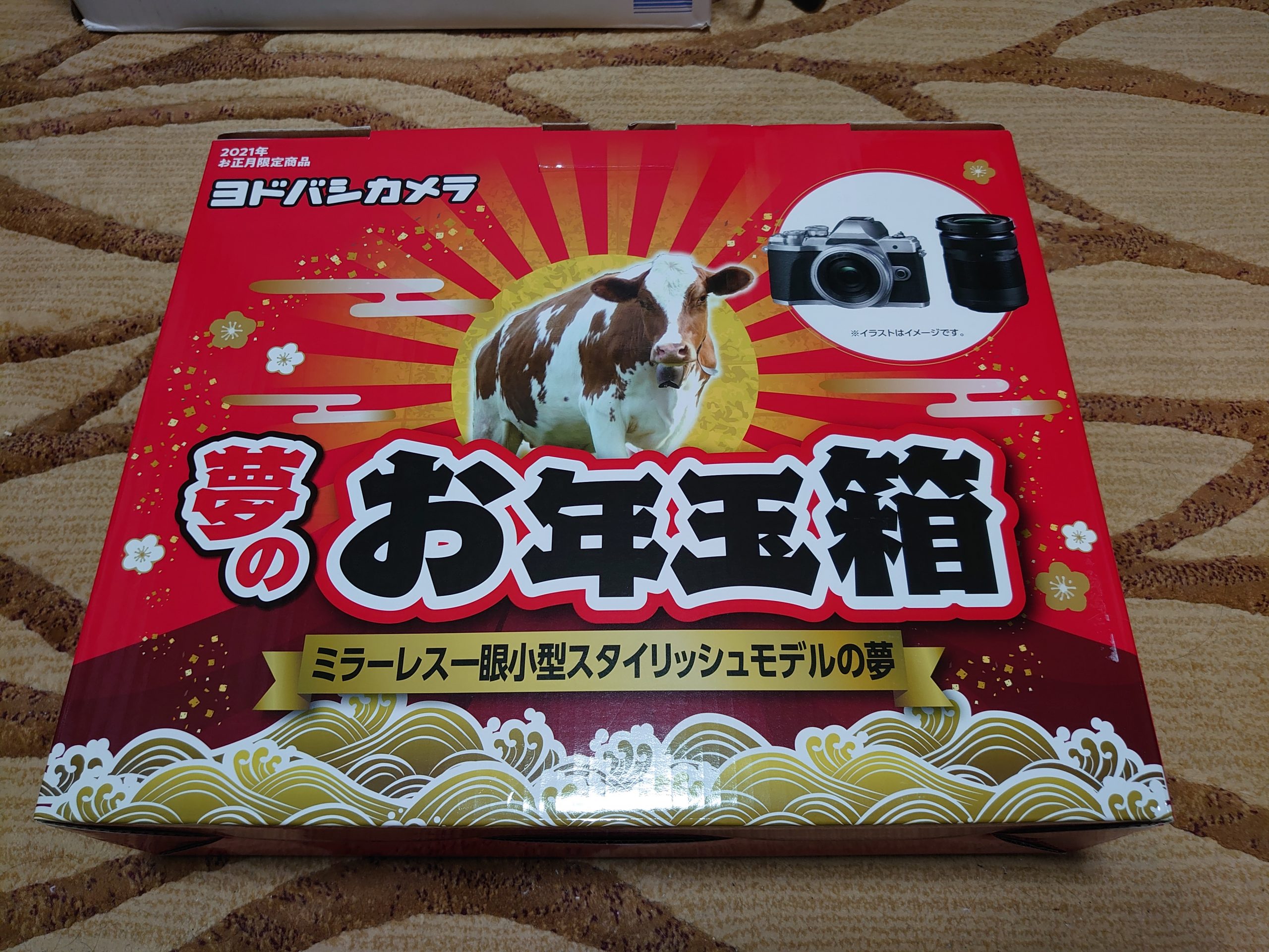 ヨドバシカメラの福袋、計画的落選 - 中澤祐樹ブログ 