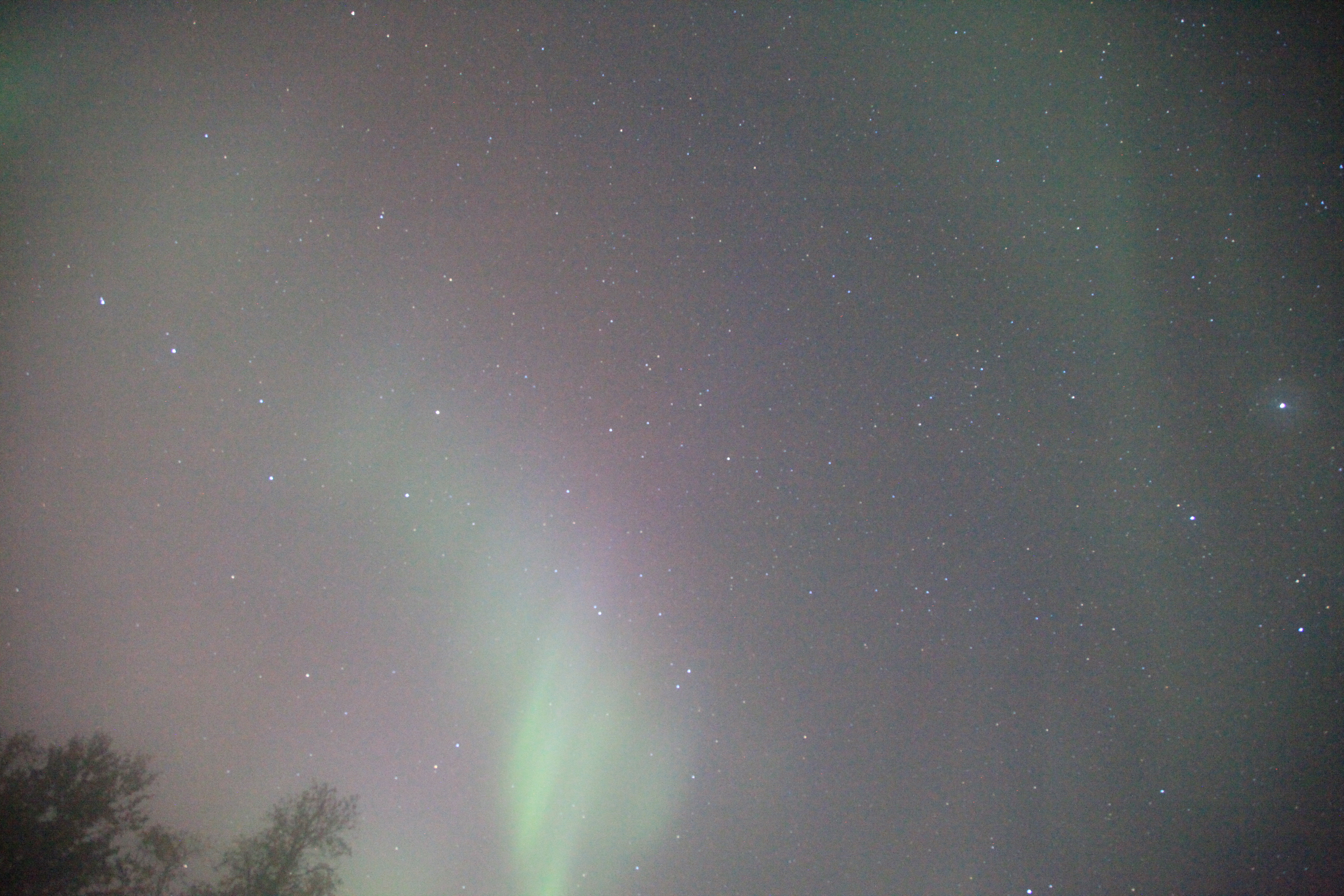 オーロラの帯と星雲、木々（24mm、F4、感度H1、ISO12800、20秒）