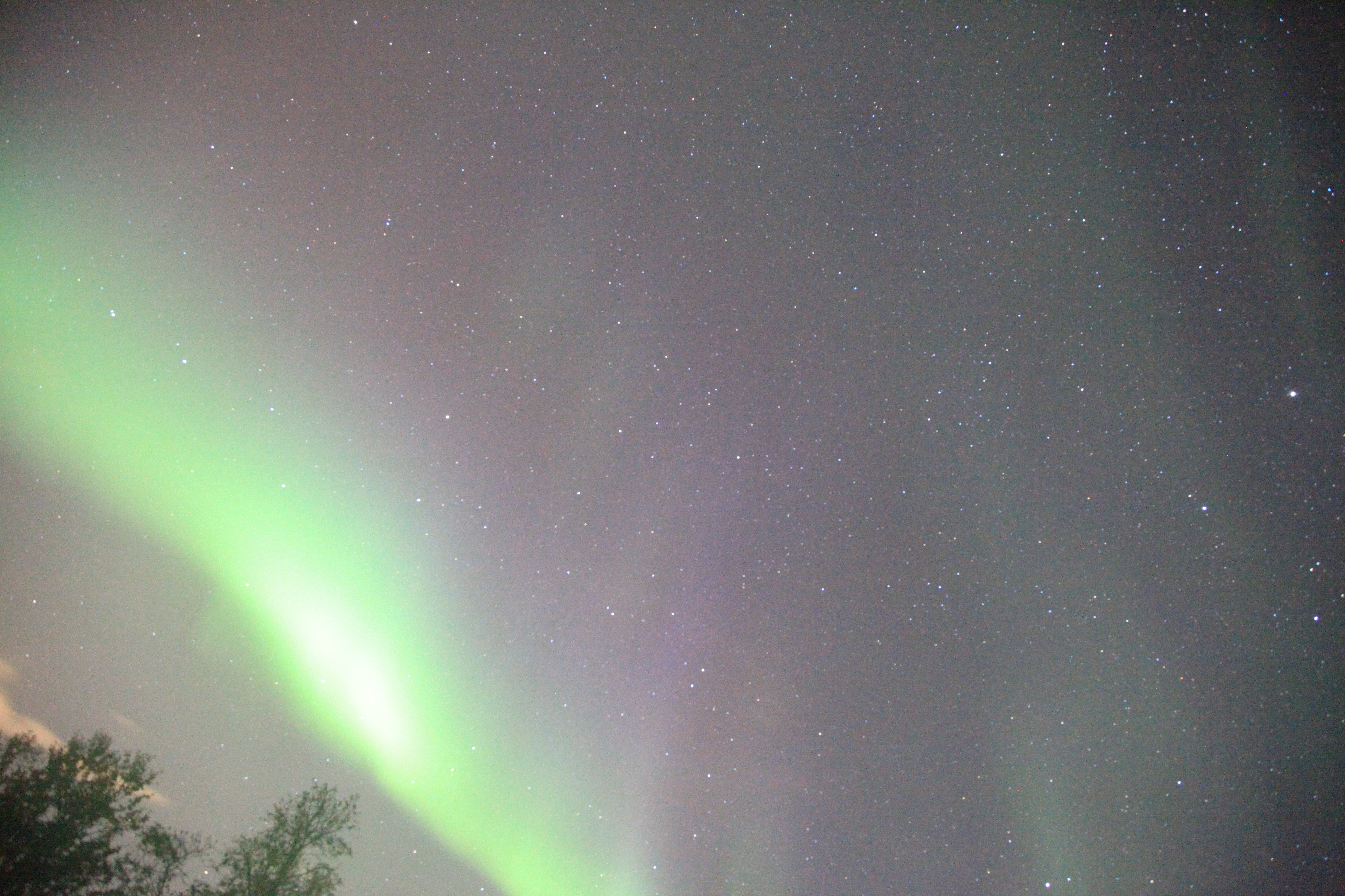 オーロラの帯の極大（非常に明るい）と星雲、木々（24mm、F4、感度H1、ISO12800、20秒）