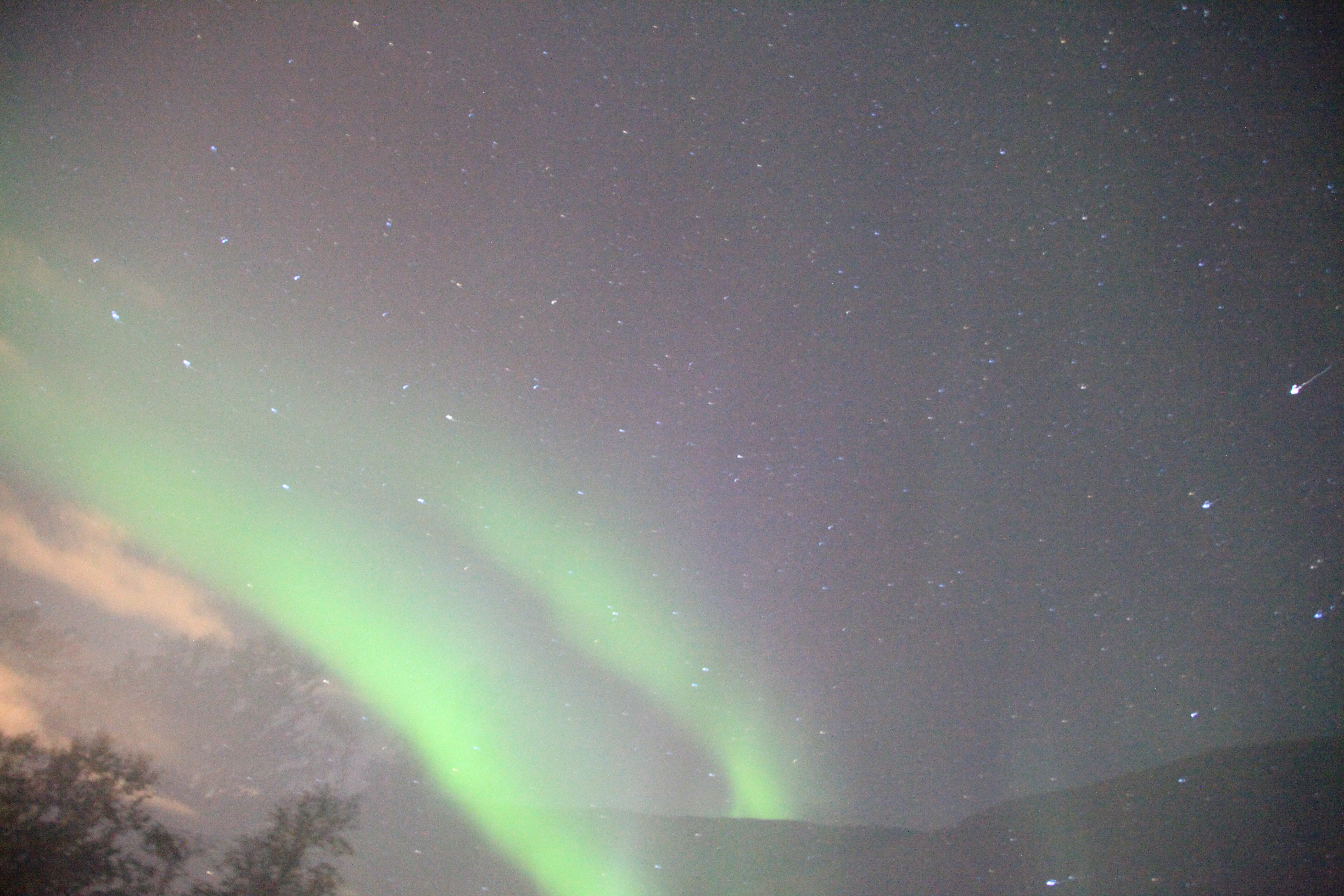 オーロラの帯の2つと星雲、木々（24mm、F4、感度H1、ISO12800、20秒）