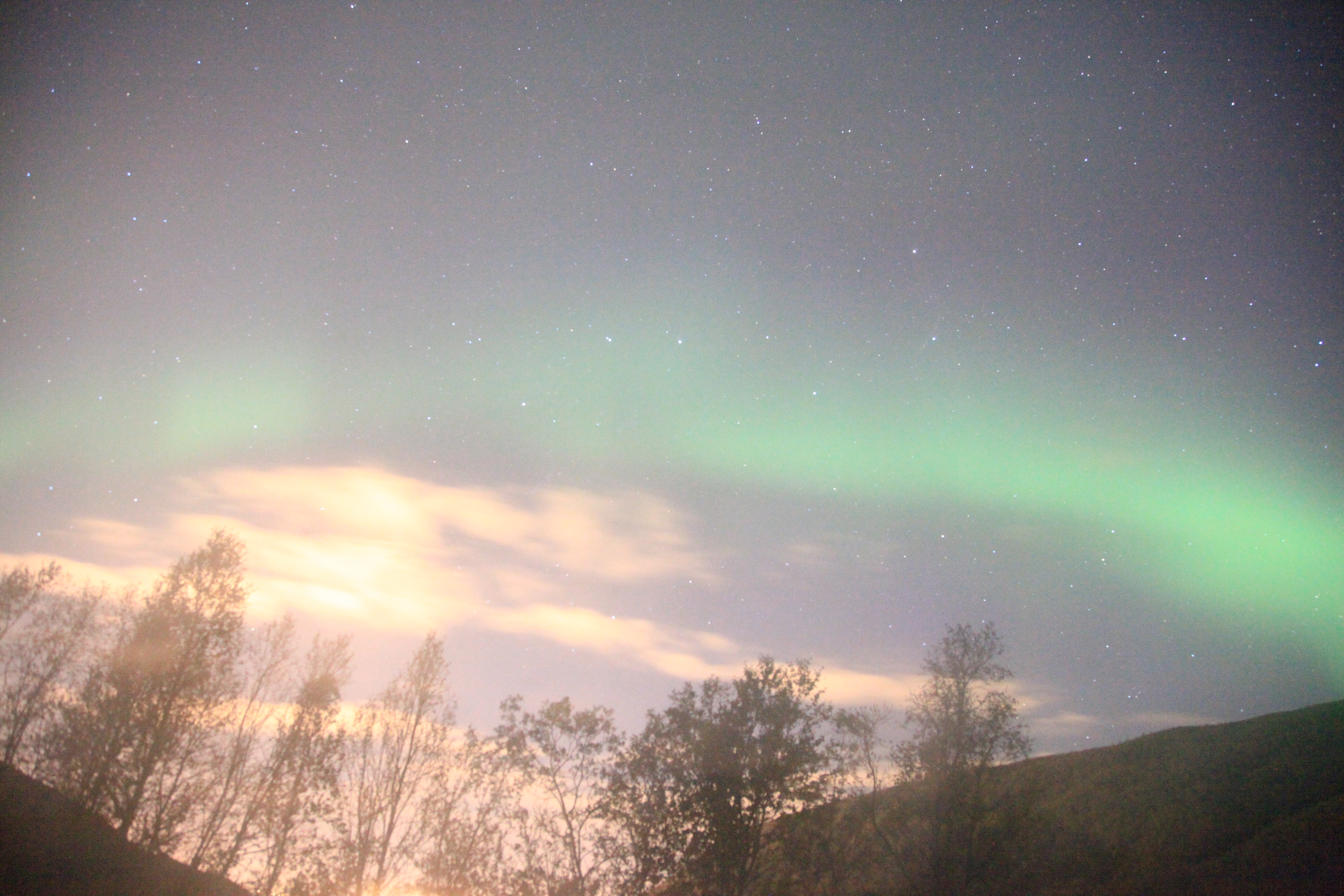 オーロラと星雲、木々、山、雲（24mm、F4、感度H1、ISO12800、20秒）