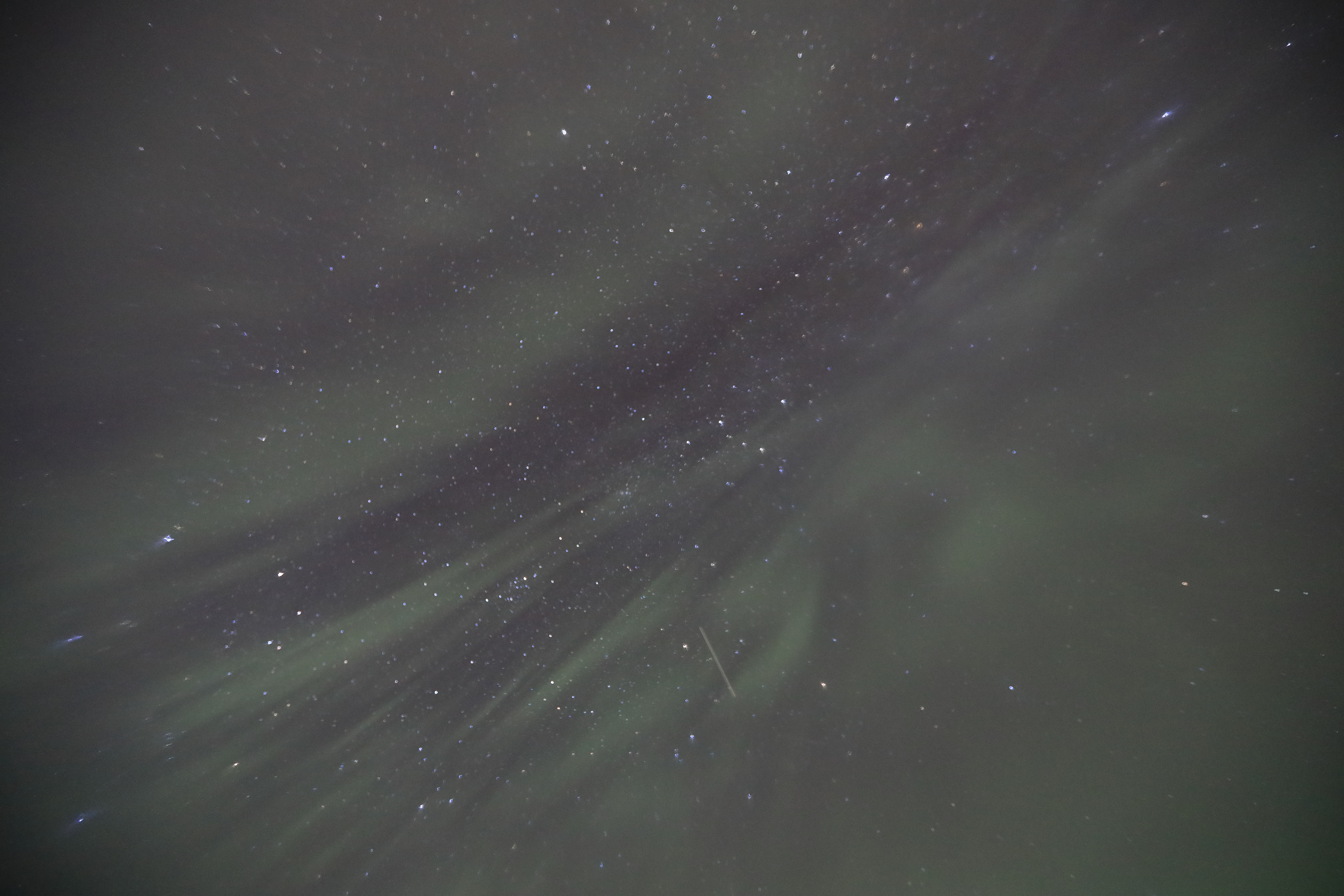 オーロラと星雲と流れ星１（16mm、F2.8、ISO6400、10秒）