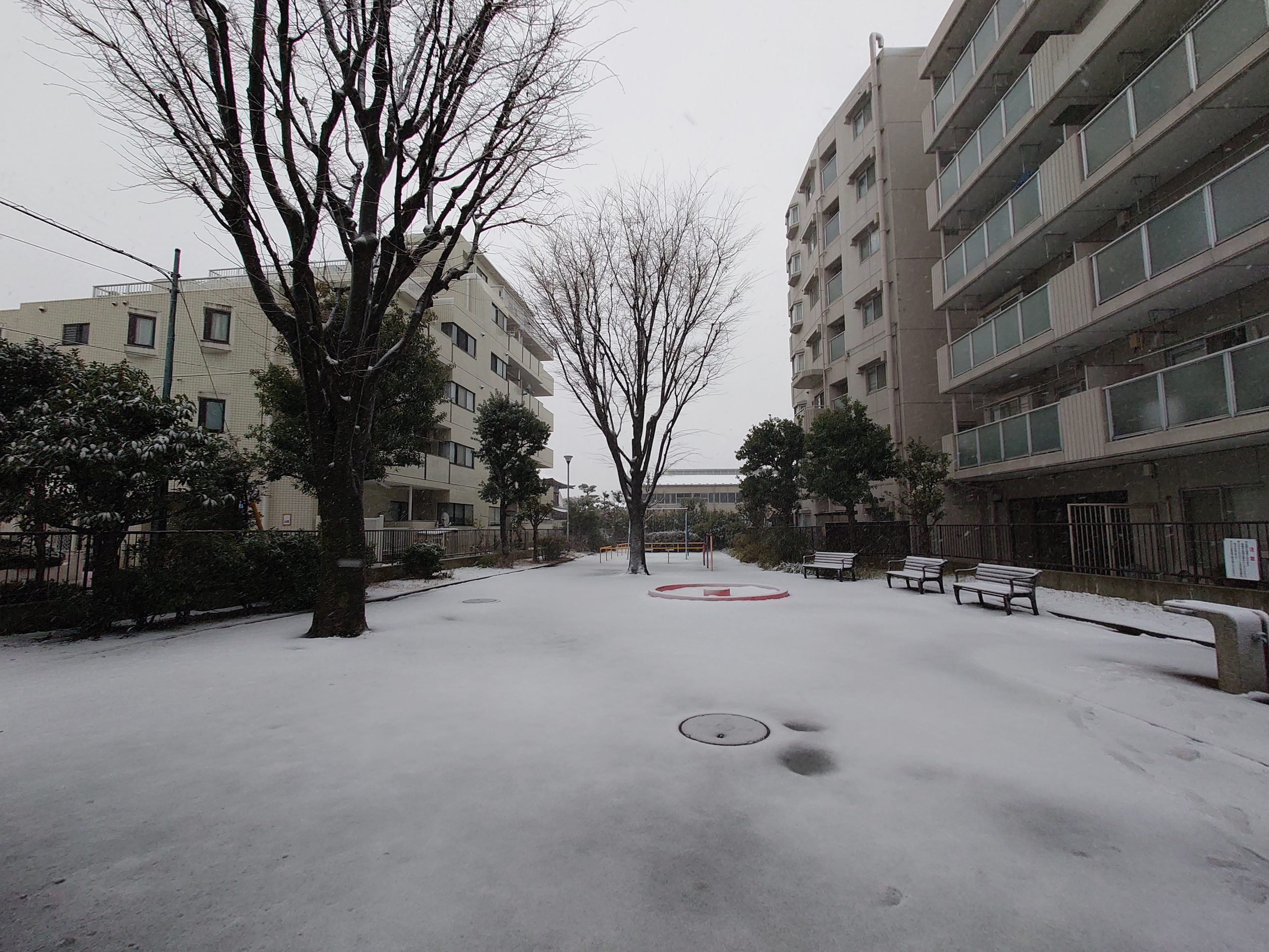 横浜市瀬谷区の降雪状況の推移 - 中澤祐樹ブログ