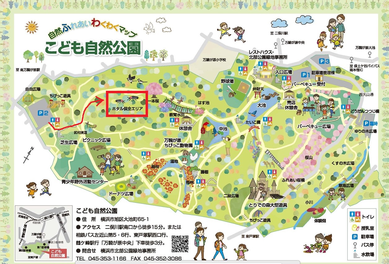 こども自然公園マップ