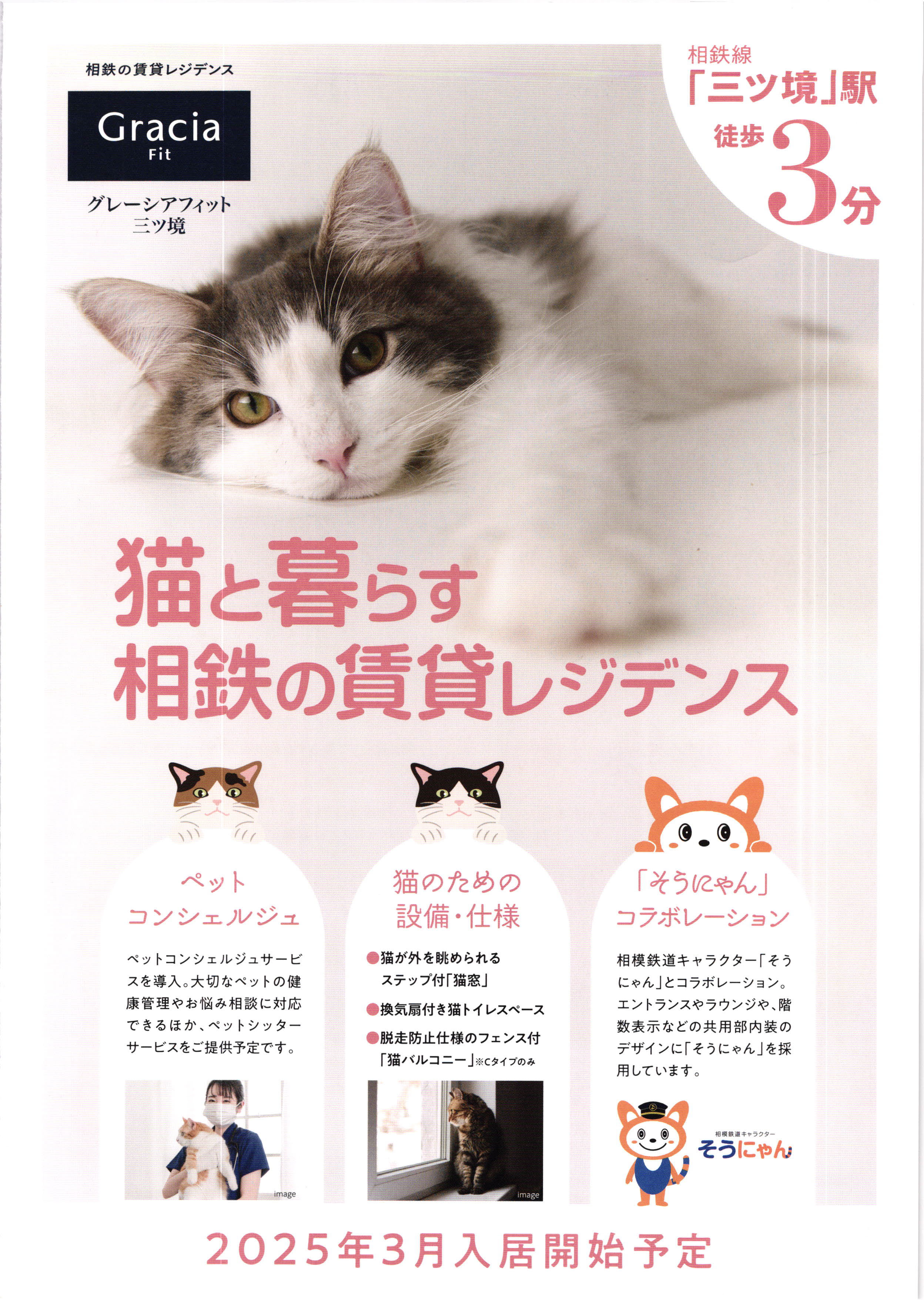 猫マンションパンフレット１