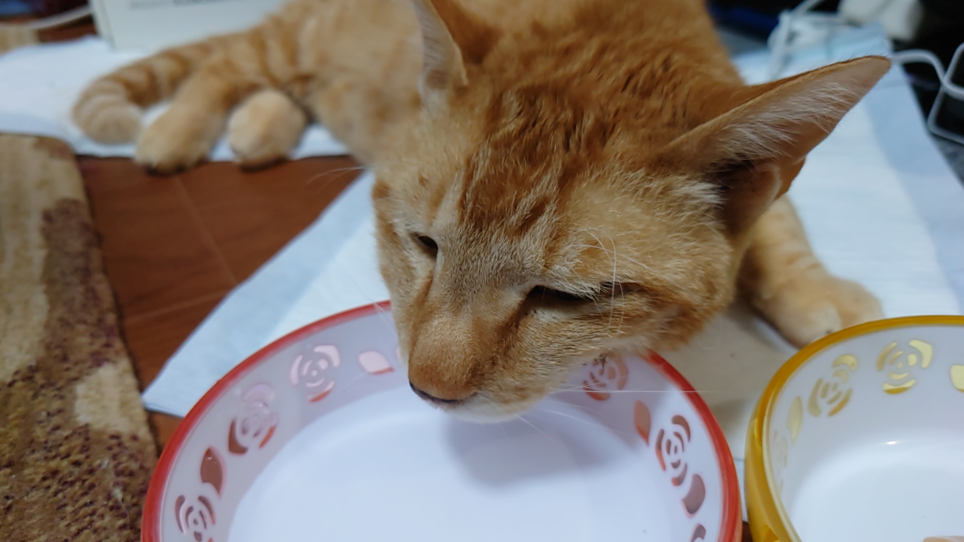 最後の写真