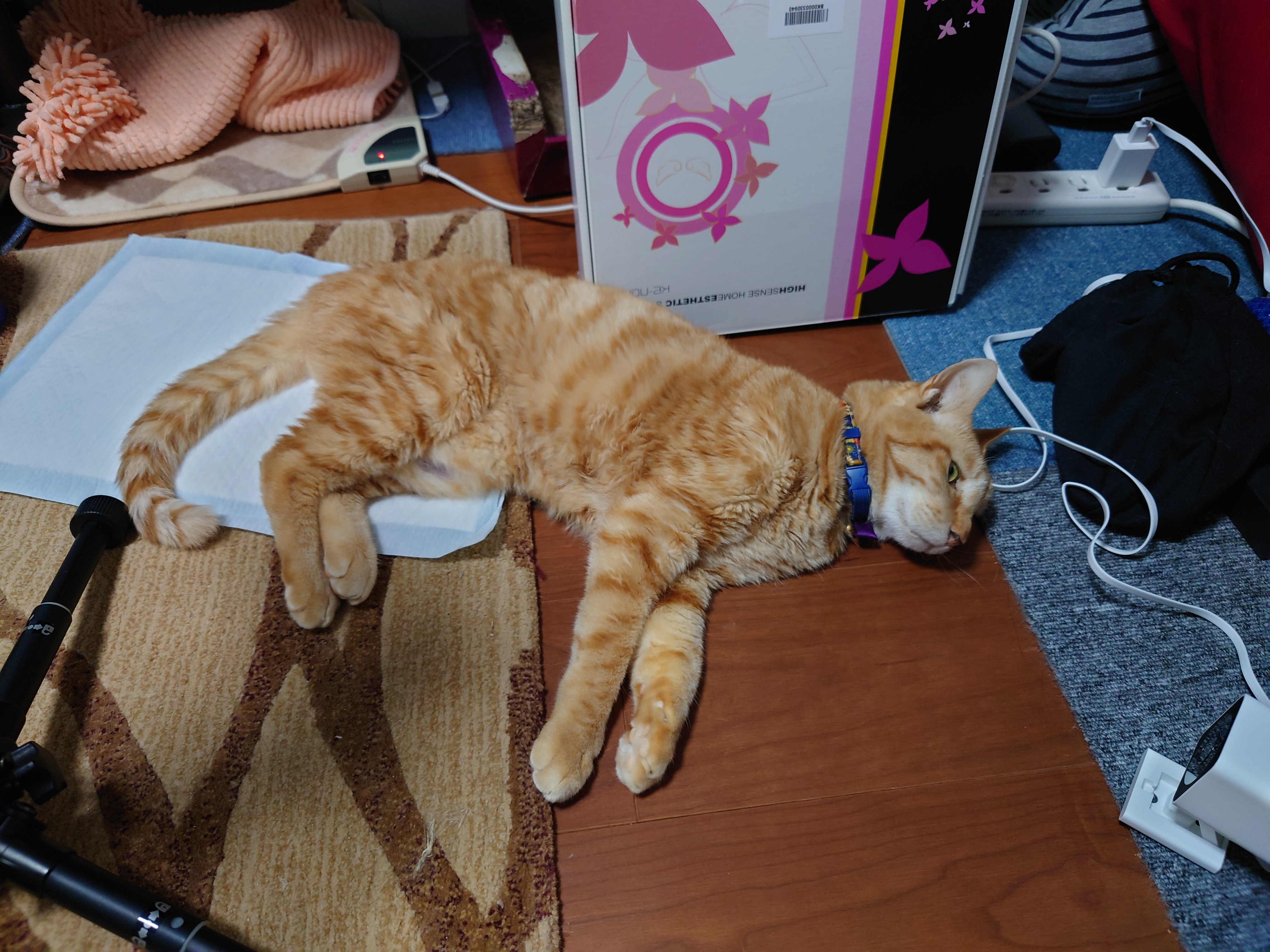 横たわる