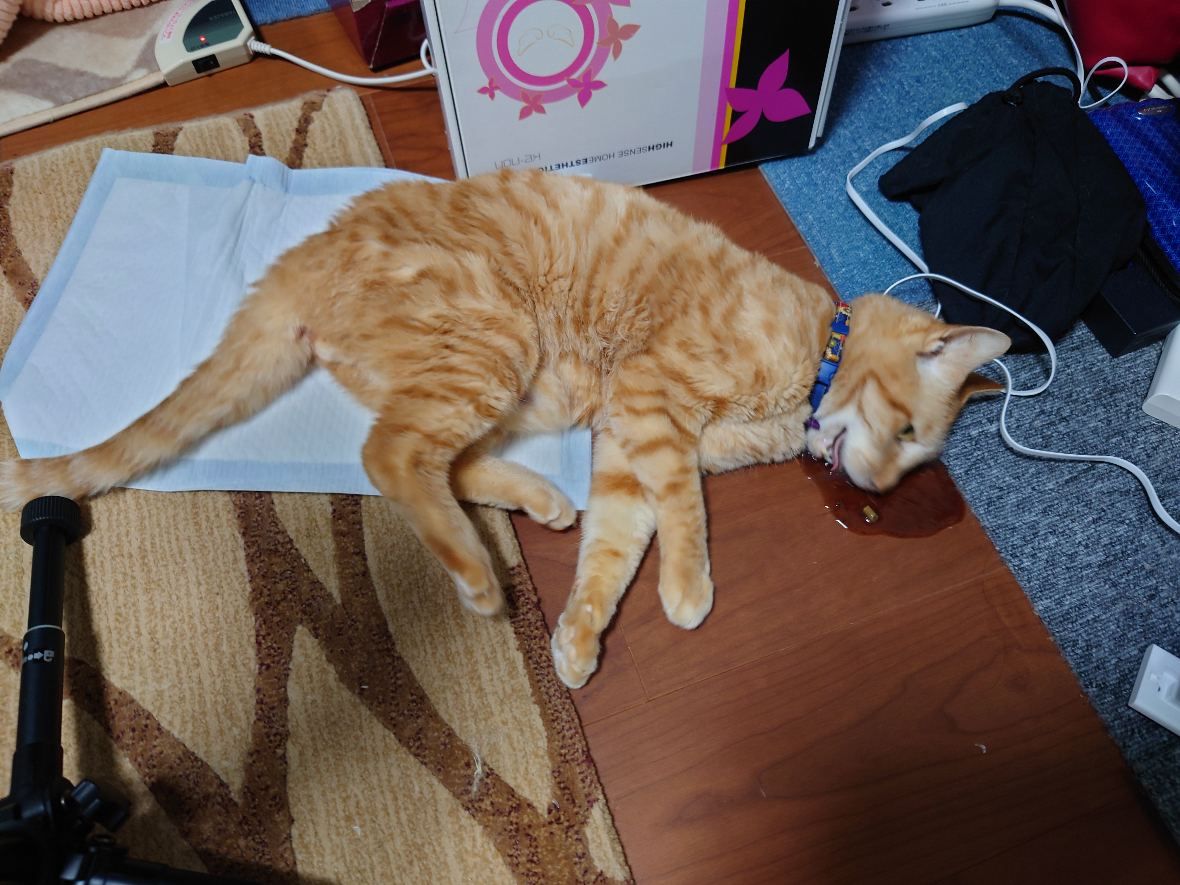 嘔吐する