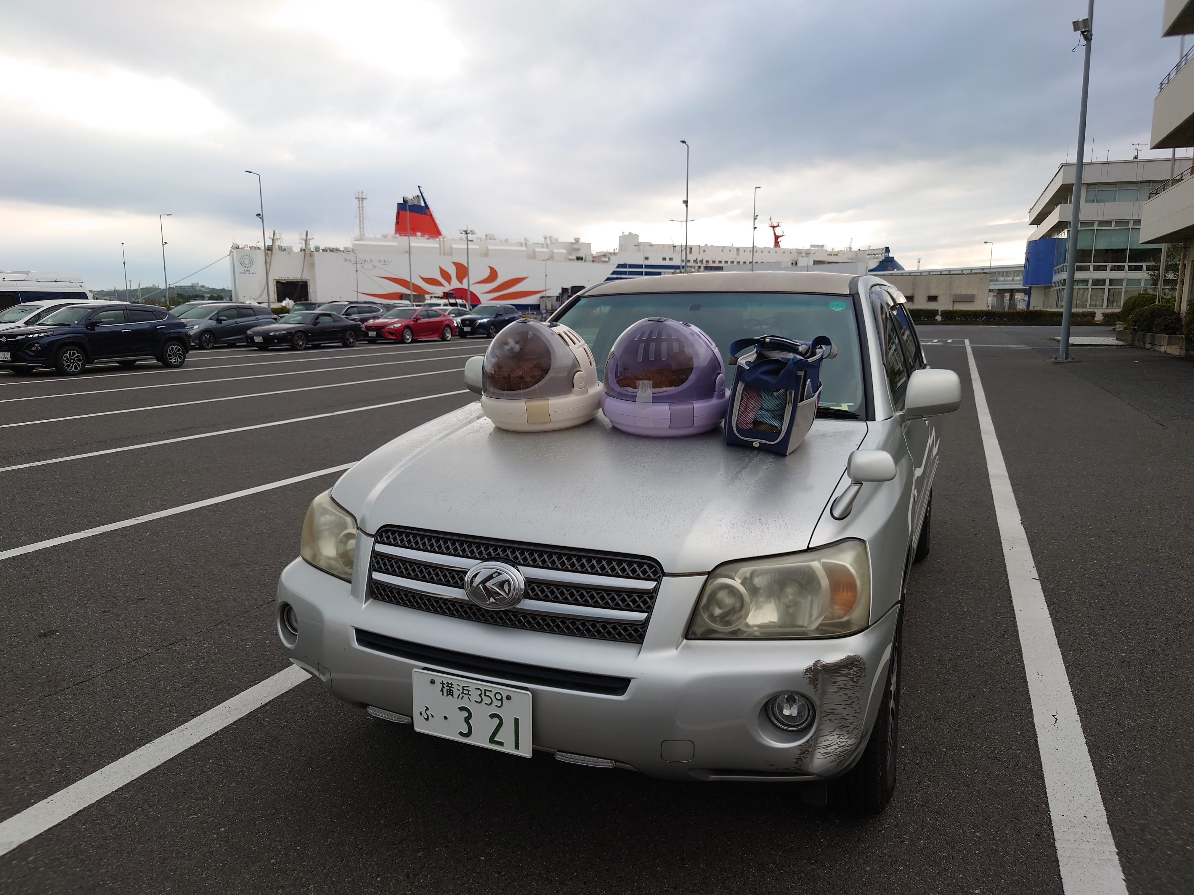 あんず、よもぎ、3姉妹船旅に出発