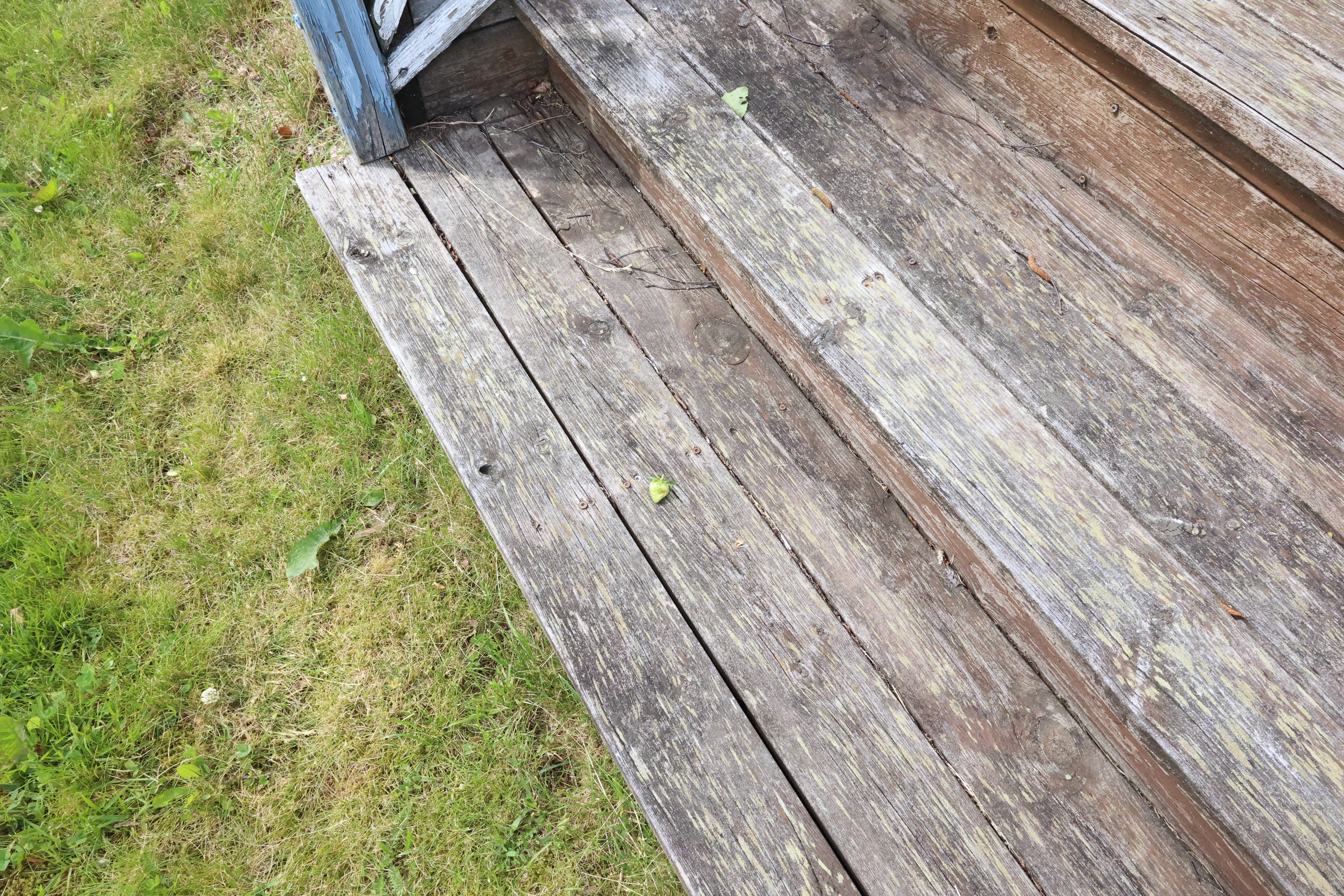 階段とイチゴ