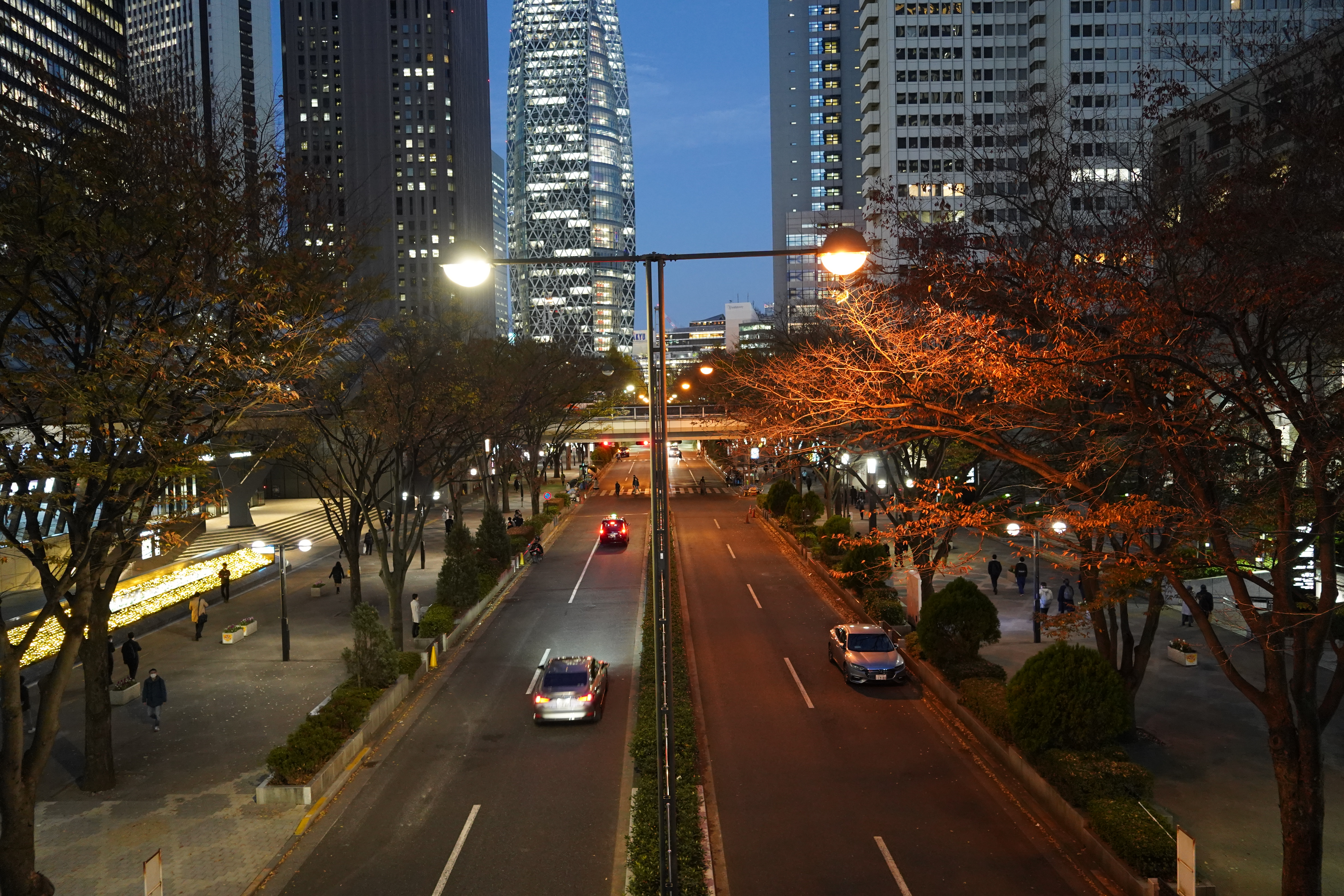 都庁から見た下の道路と夜景