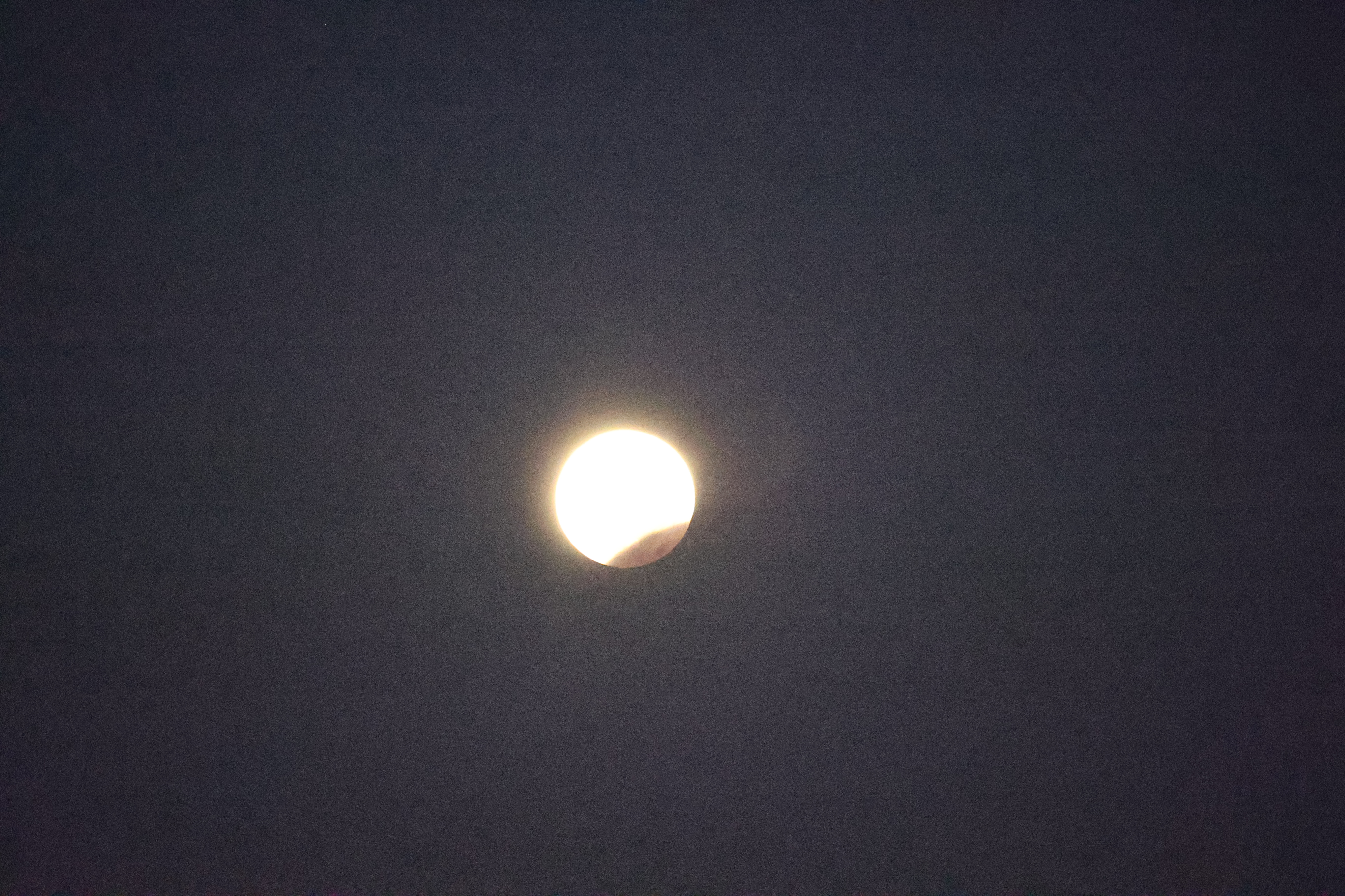 400mm、ISO10万