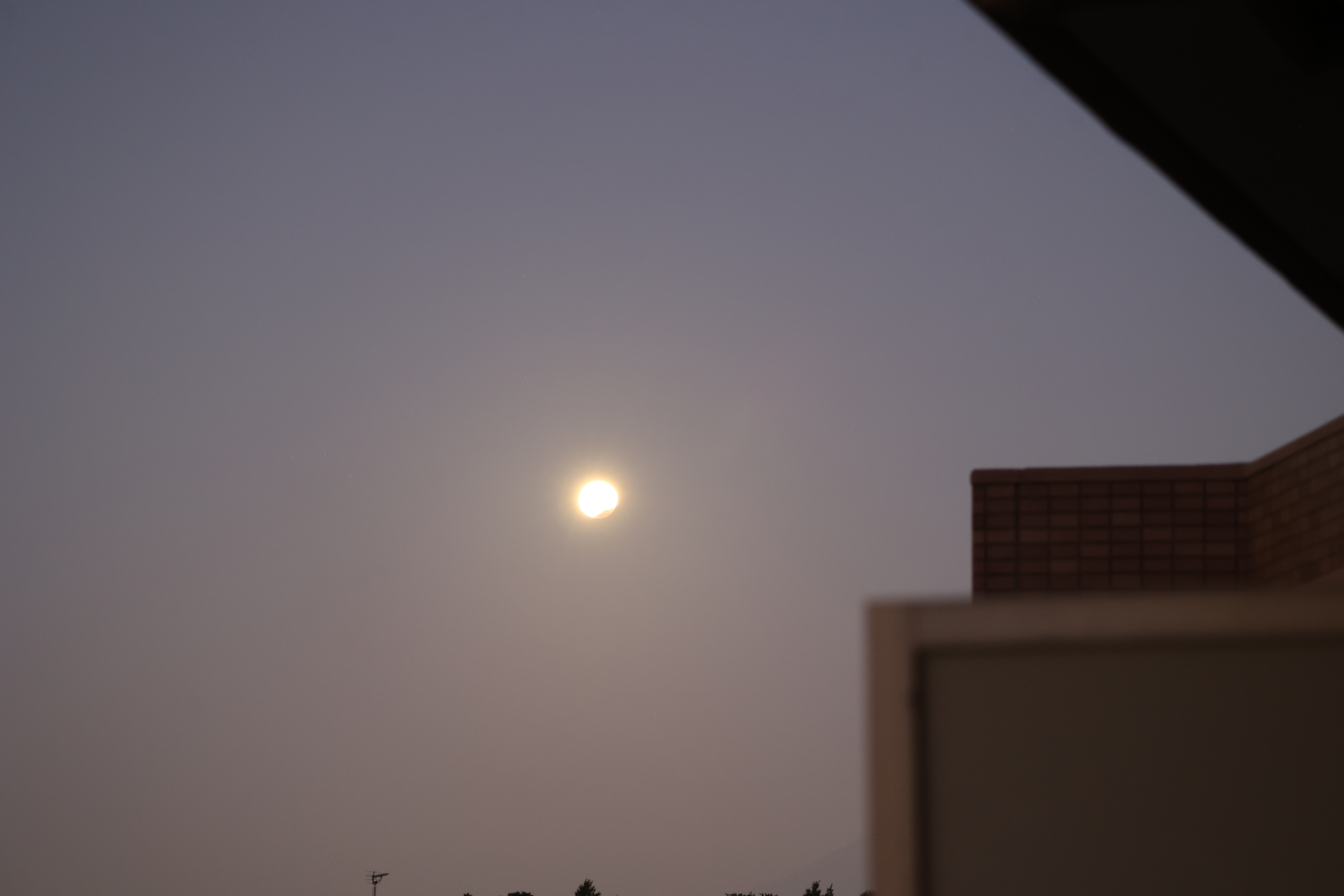 100mm、ISO25600