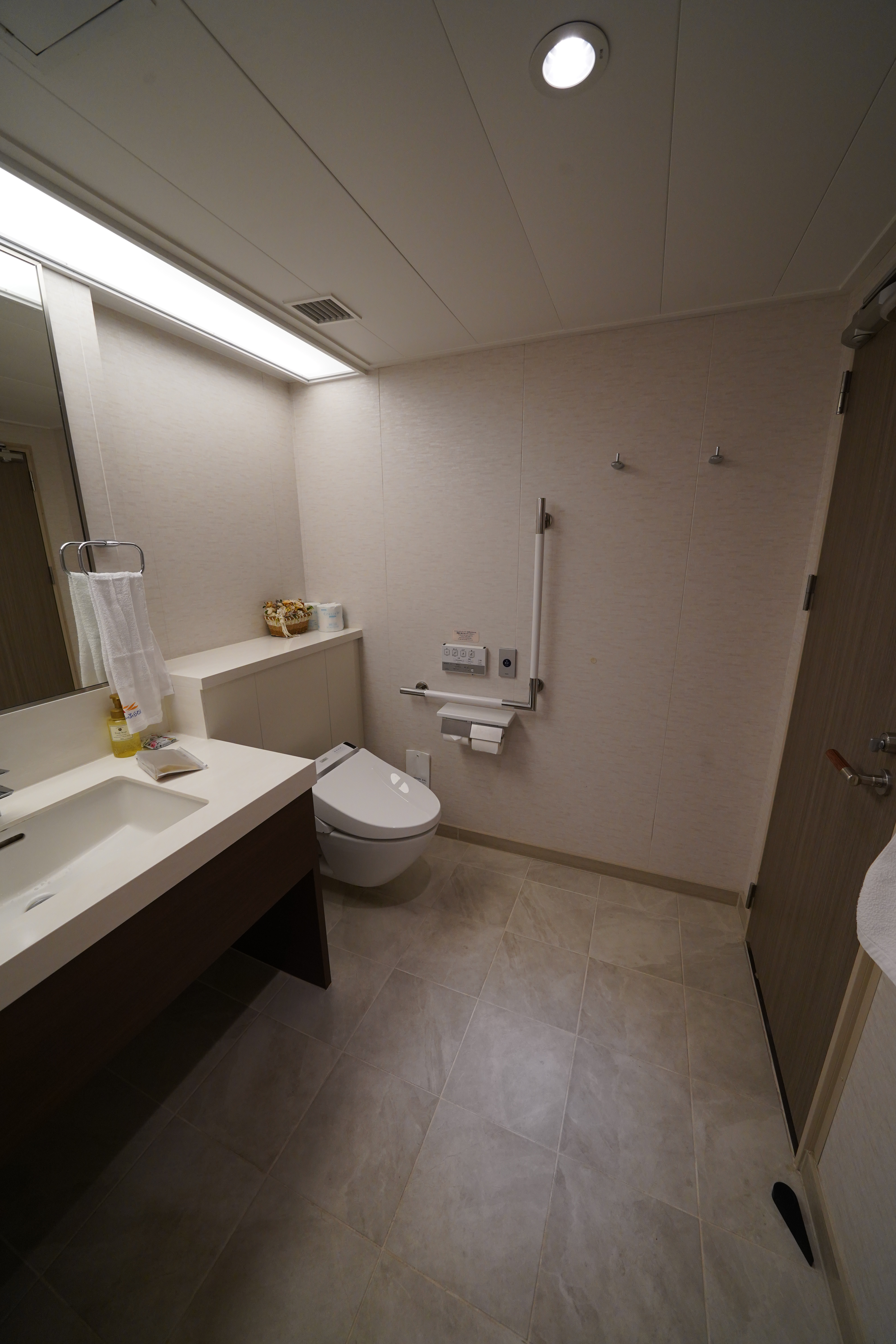 洗面台とトイレ（縦アングル）