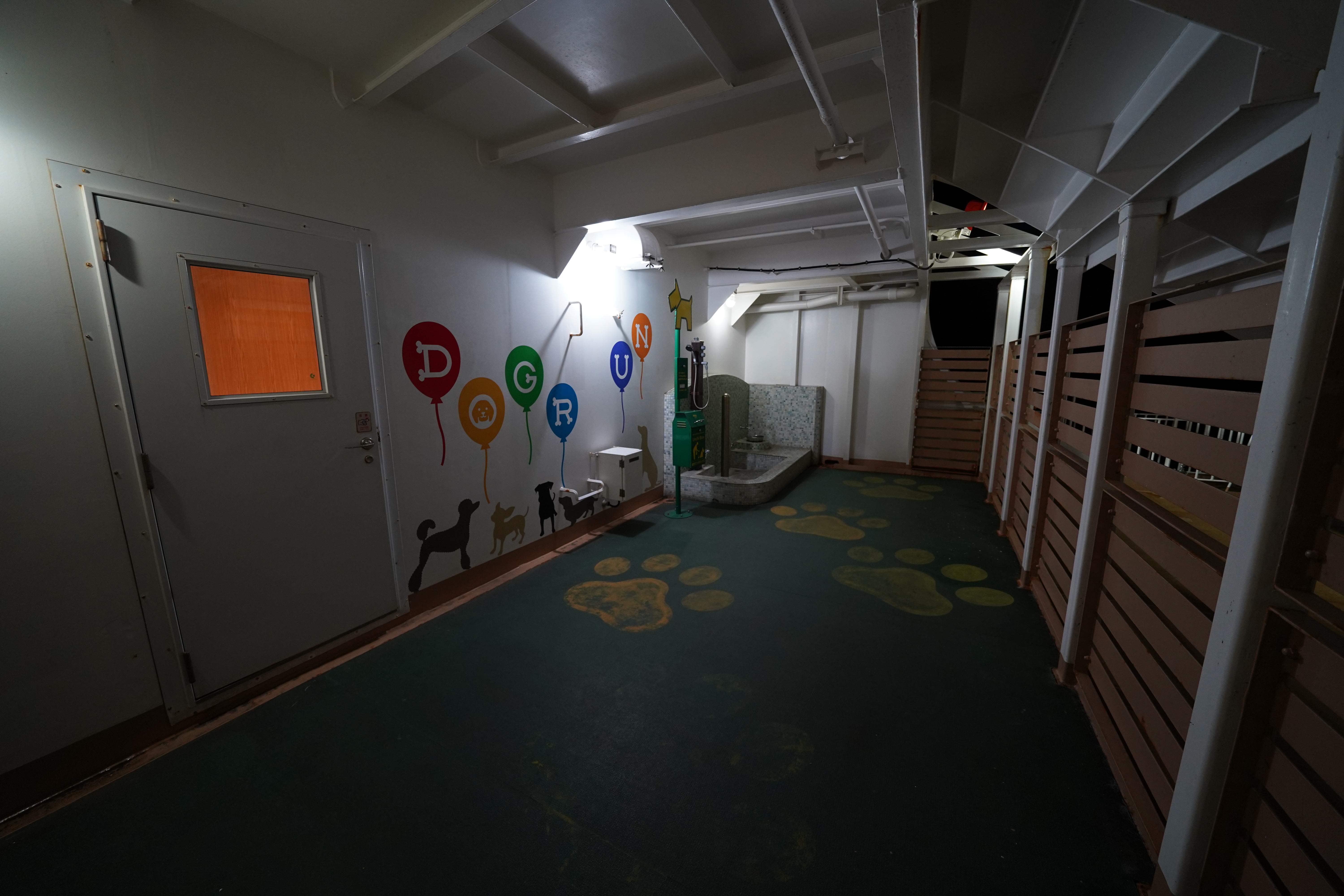 ドッグラン ドッグラン