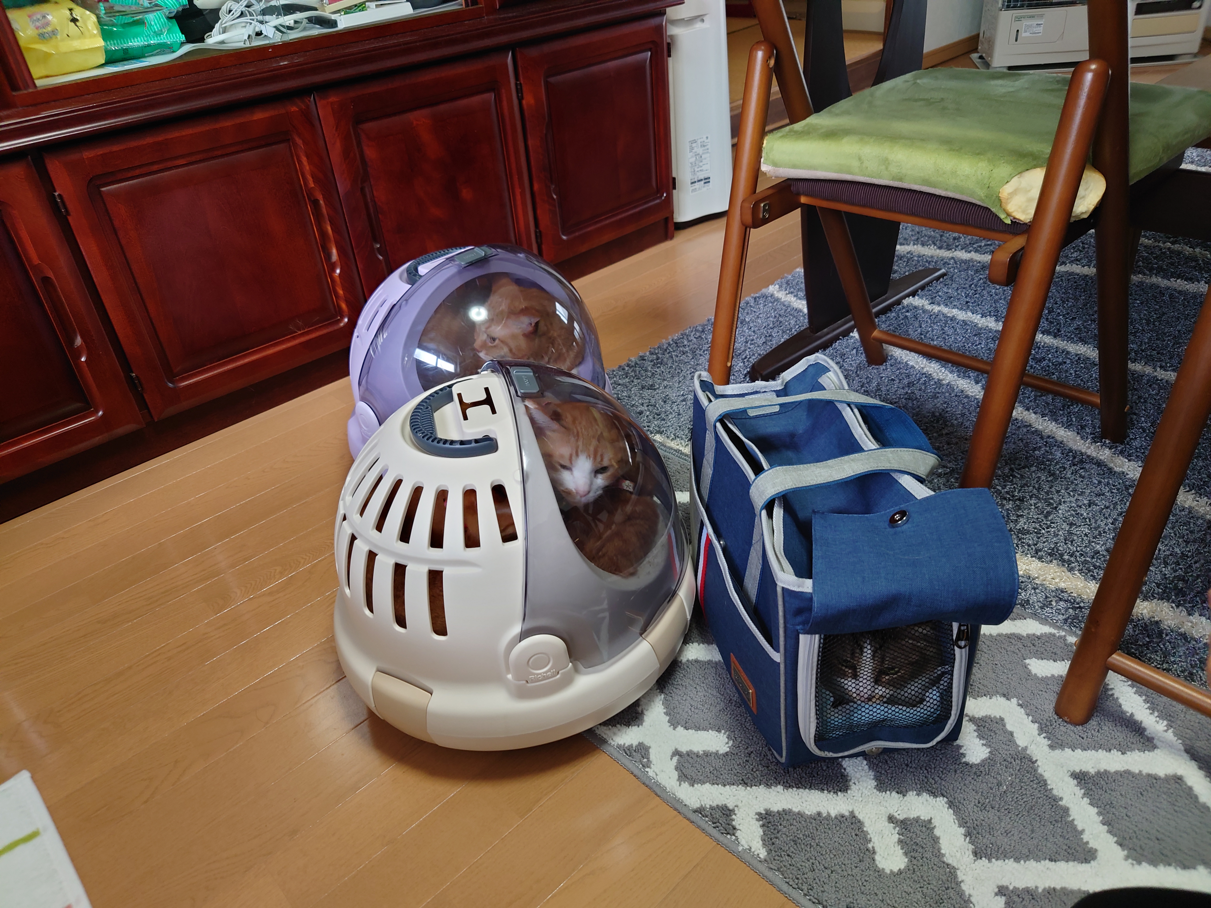 3つのキャリー 3つのキャリー