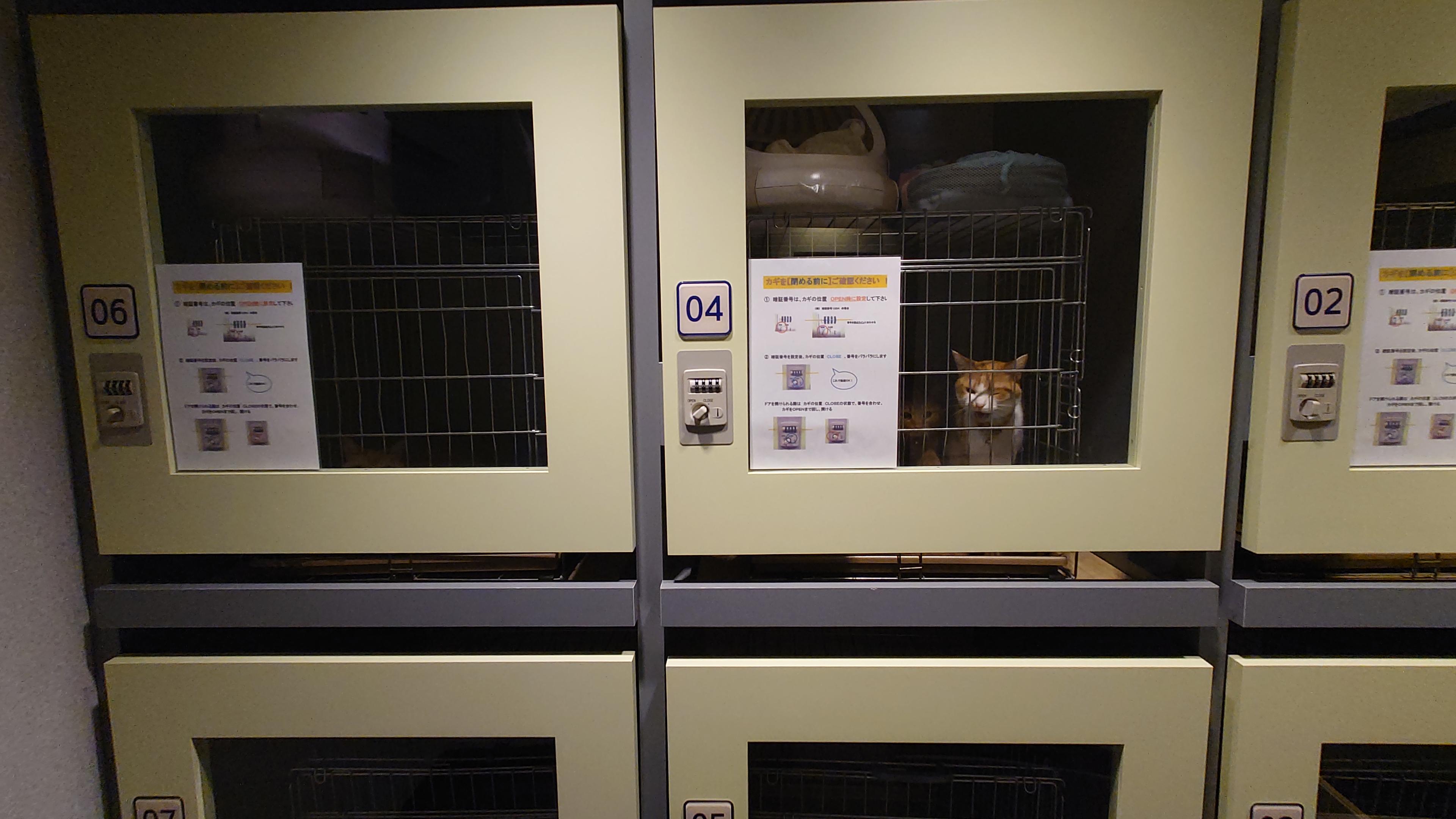 ケージ2つ（広角）