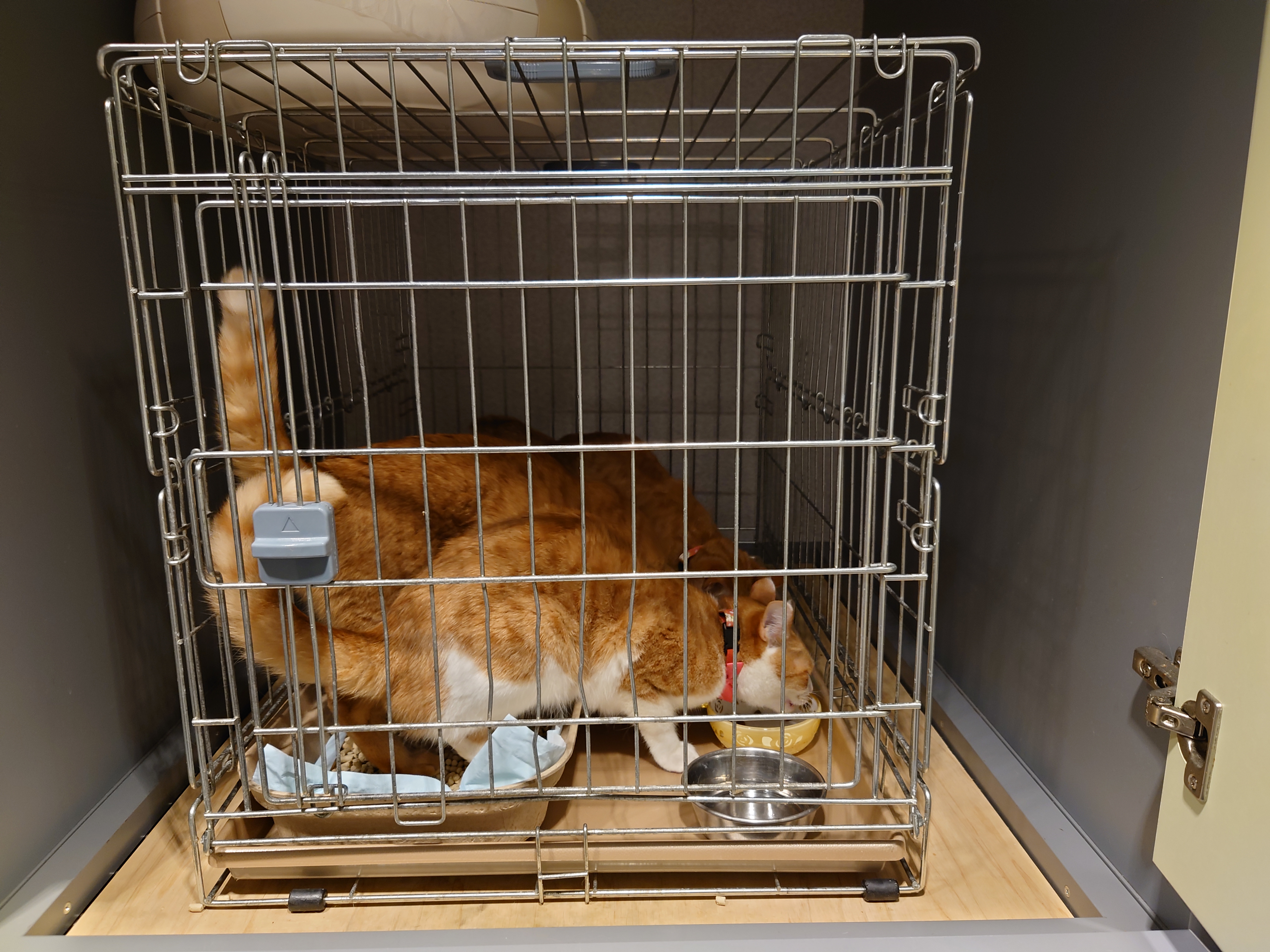 3姉妹朝食を食べる