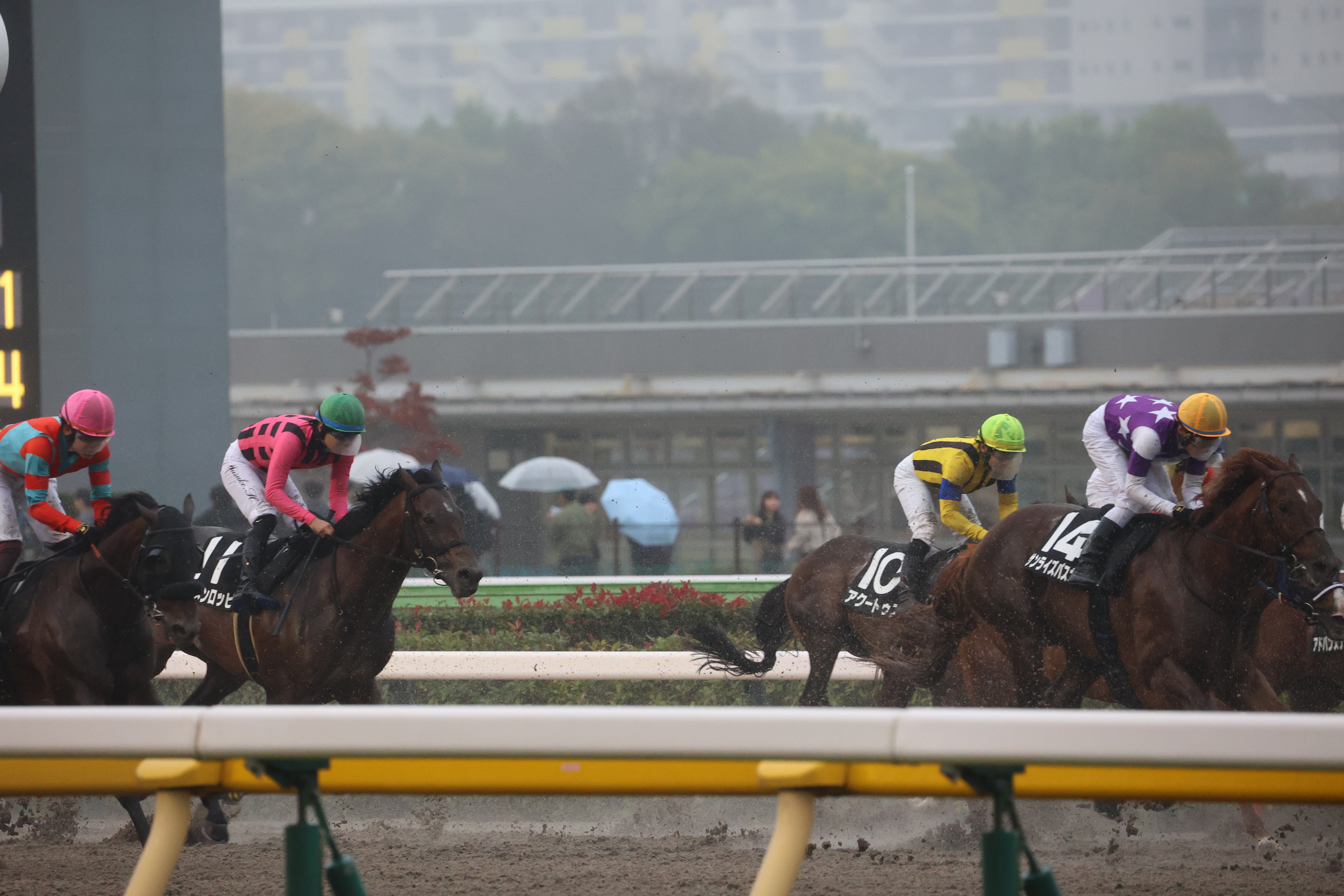 ハチメンロッピがいる集団