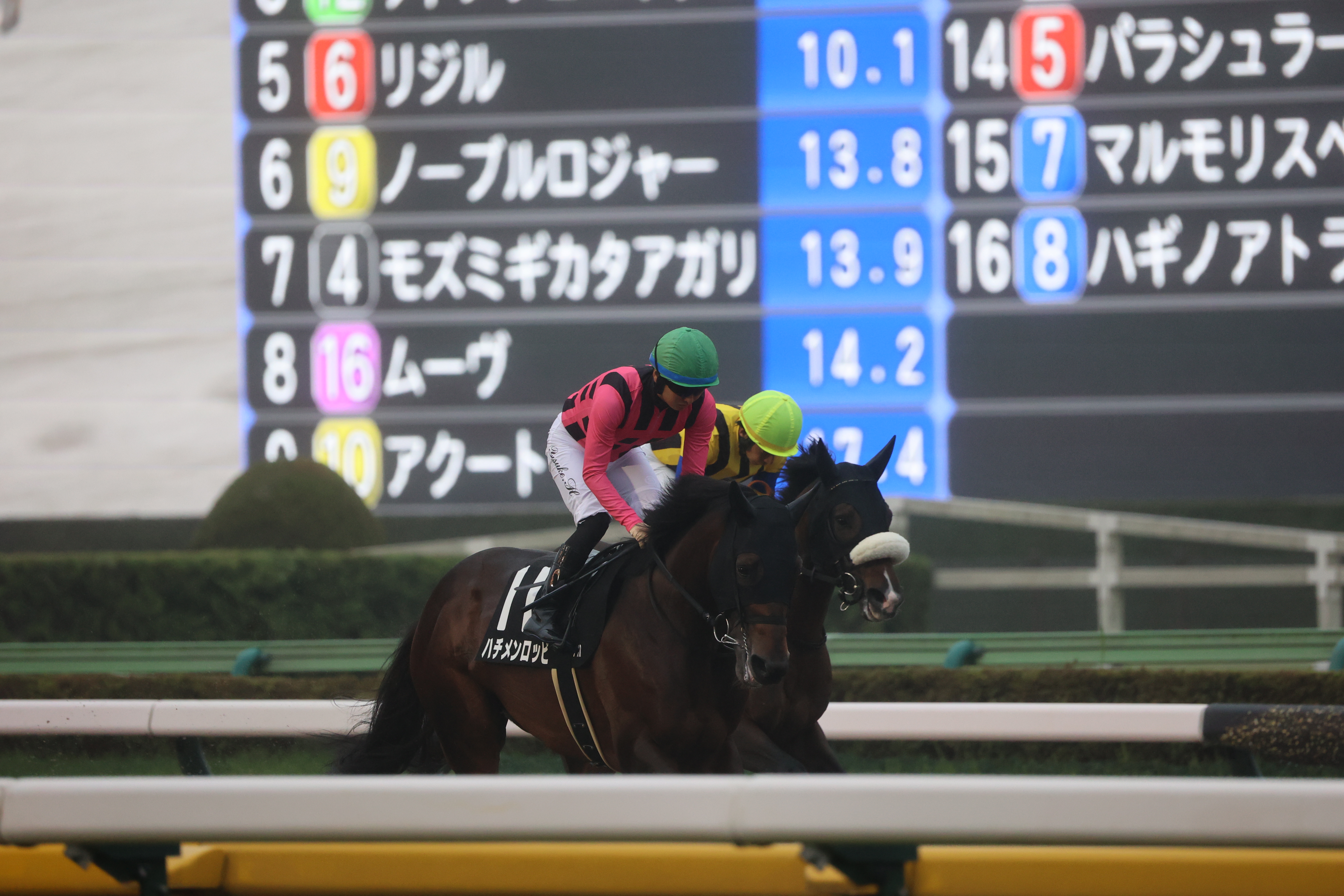 ハチメンロッピ準備体操１