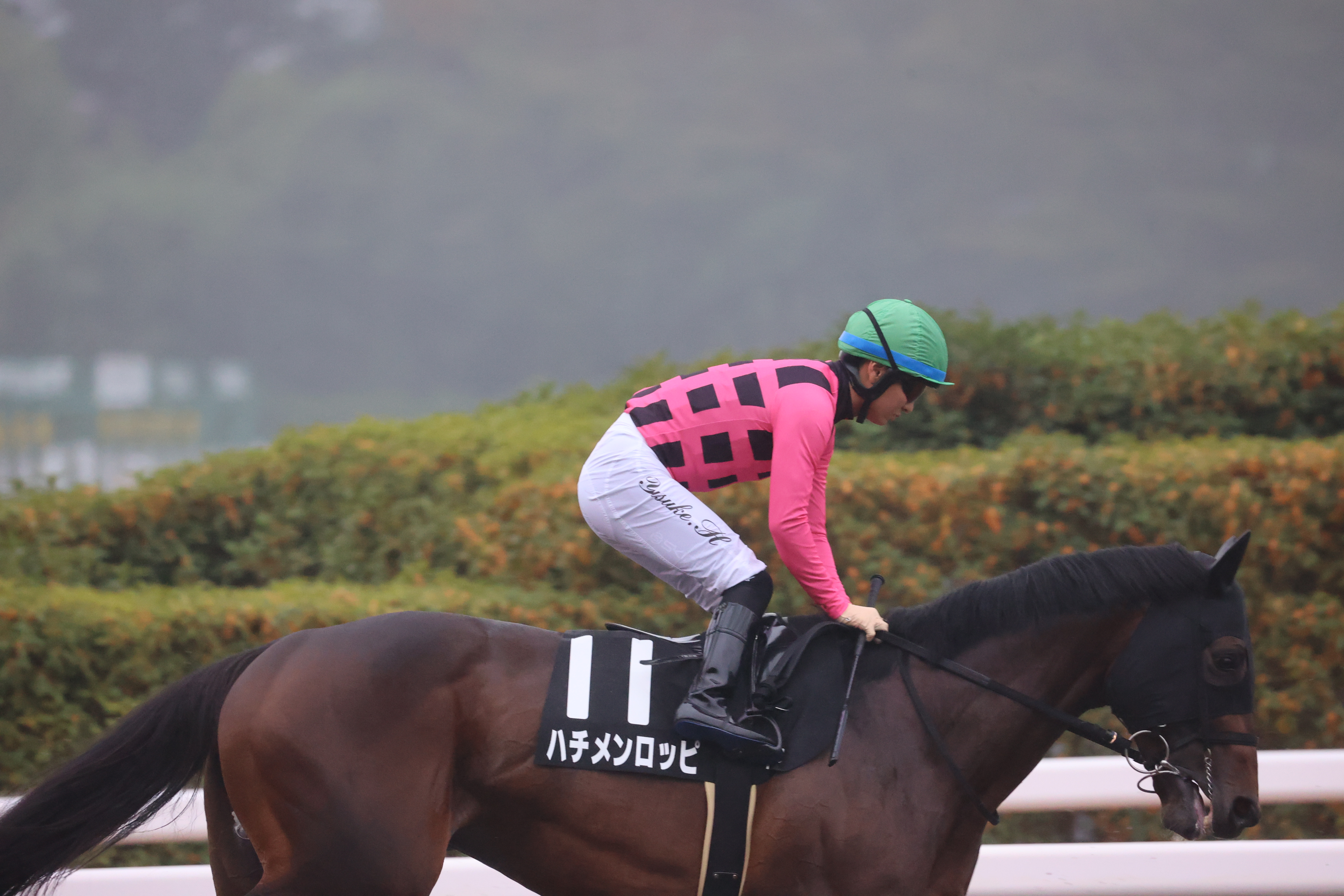 ハチメンロッピ準備体操２