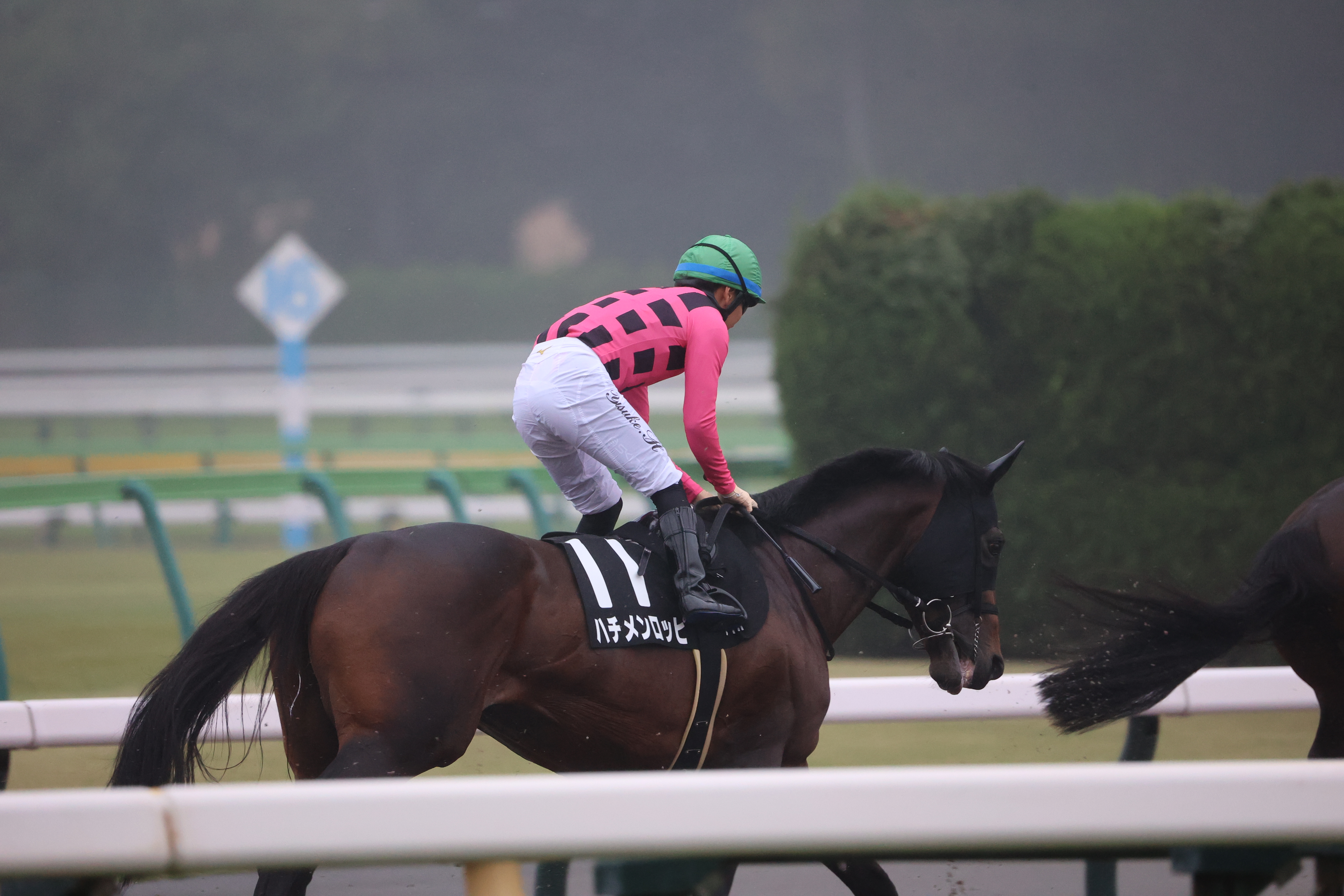 ハチメンロッピ準備体操３