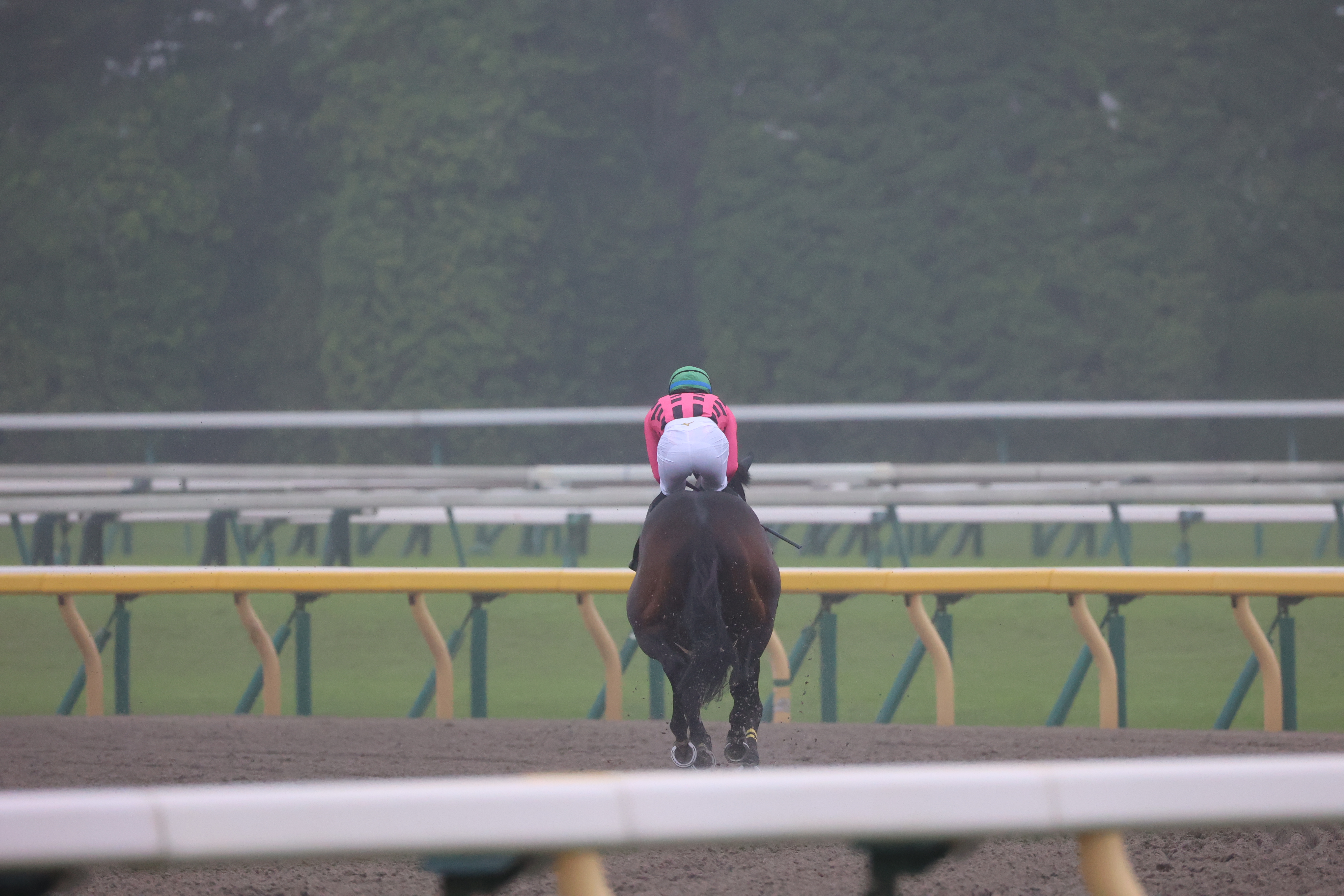 ハチメンロッピ準備体操４