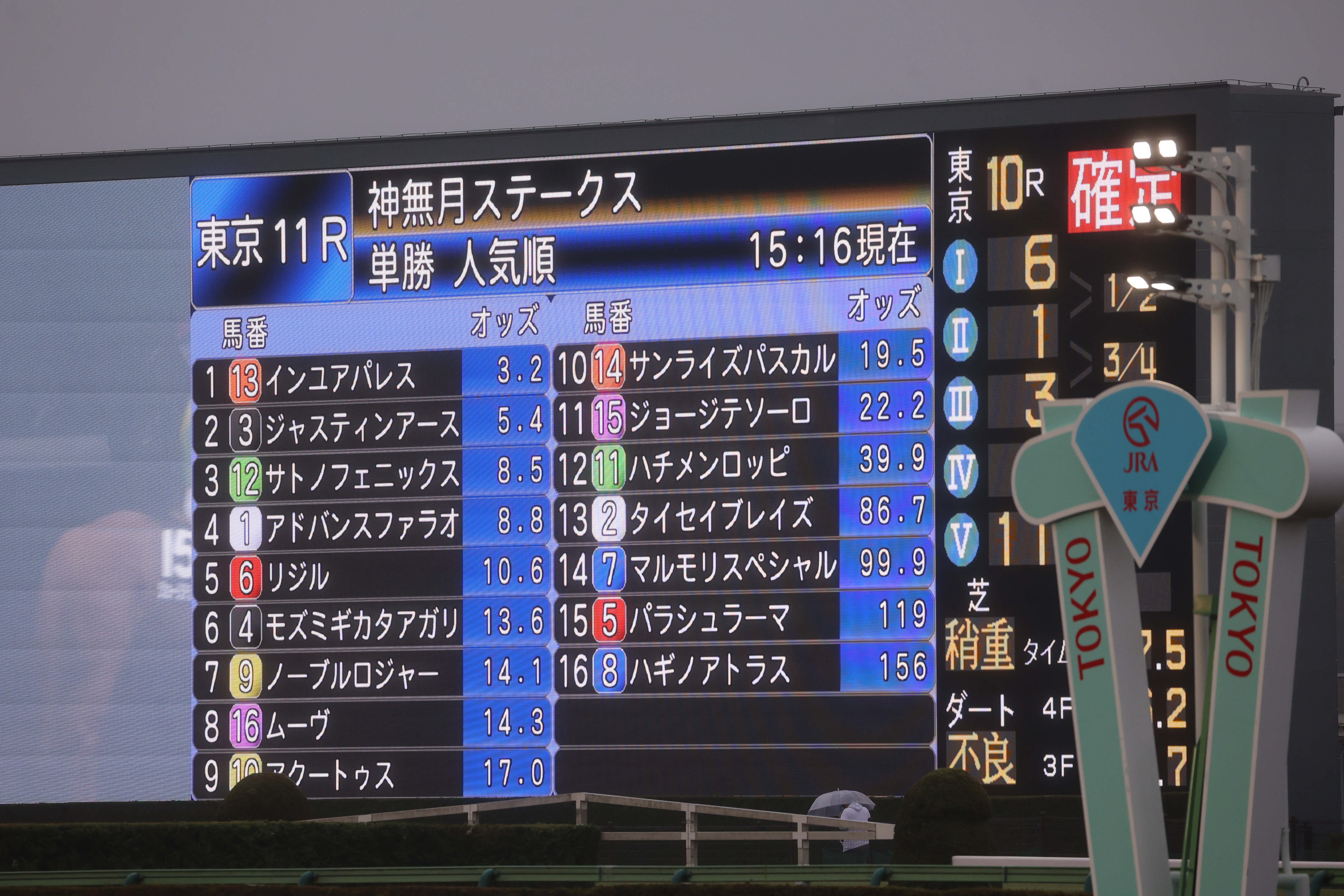 東京11R神無月ステークスのオッズ