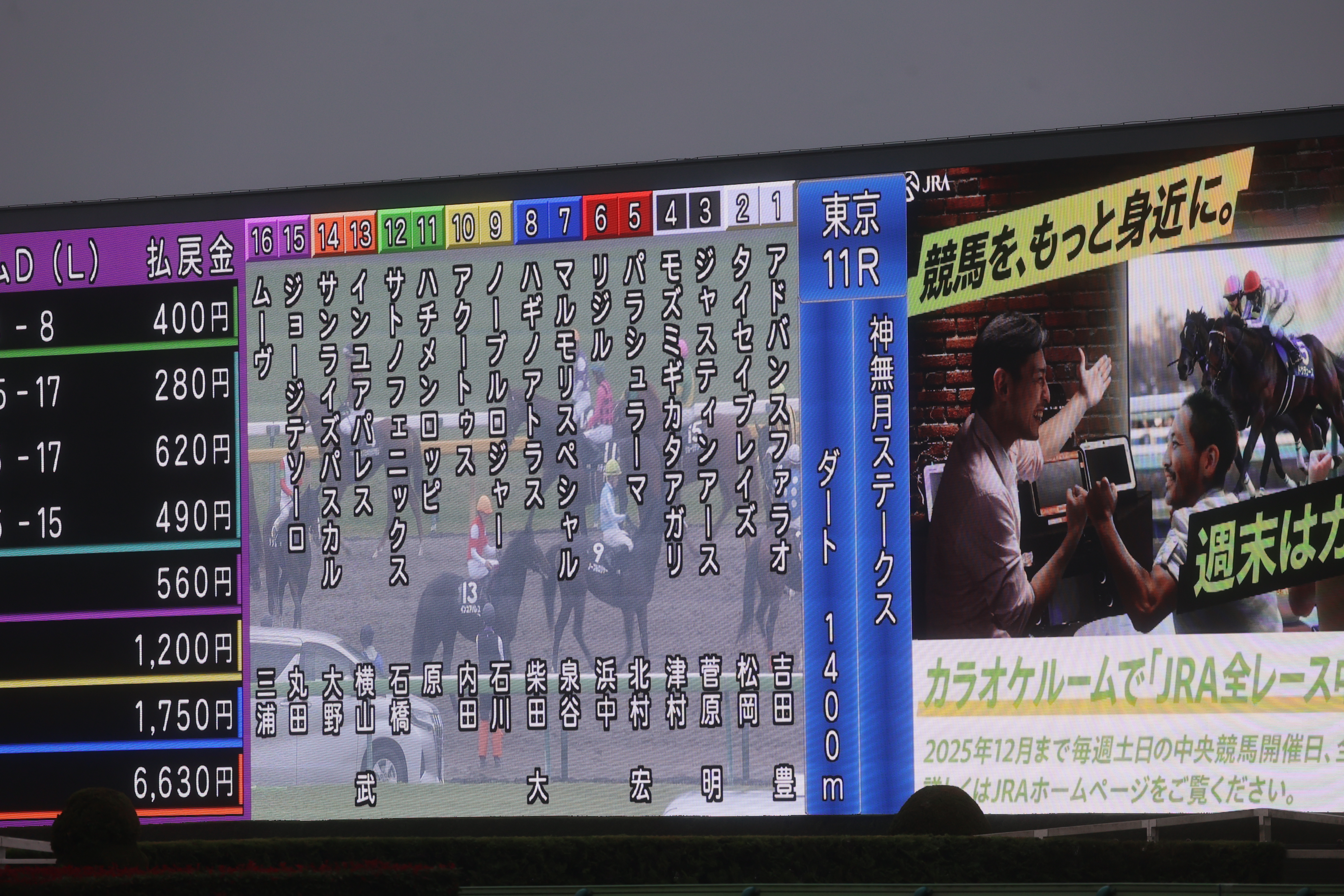 東京11R神無月ステークスの馬一覧