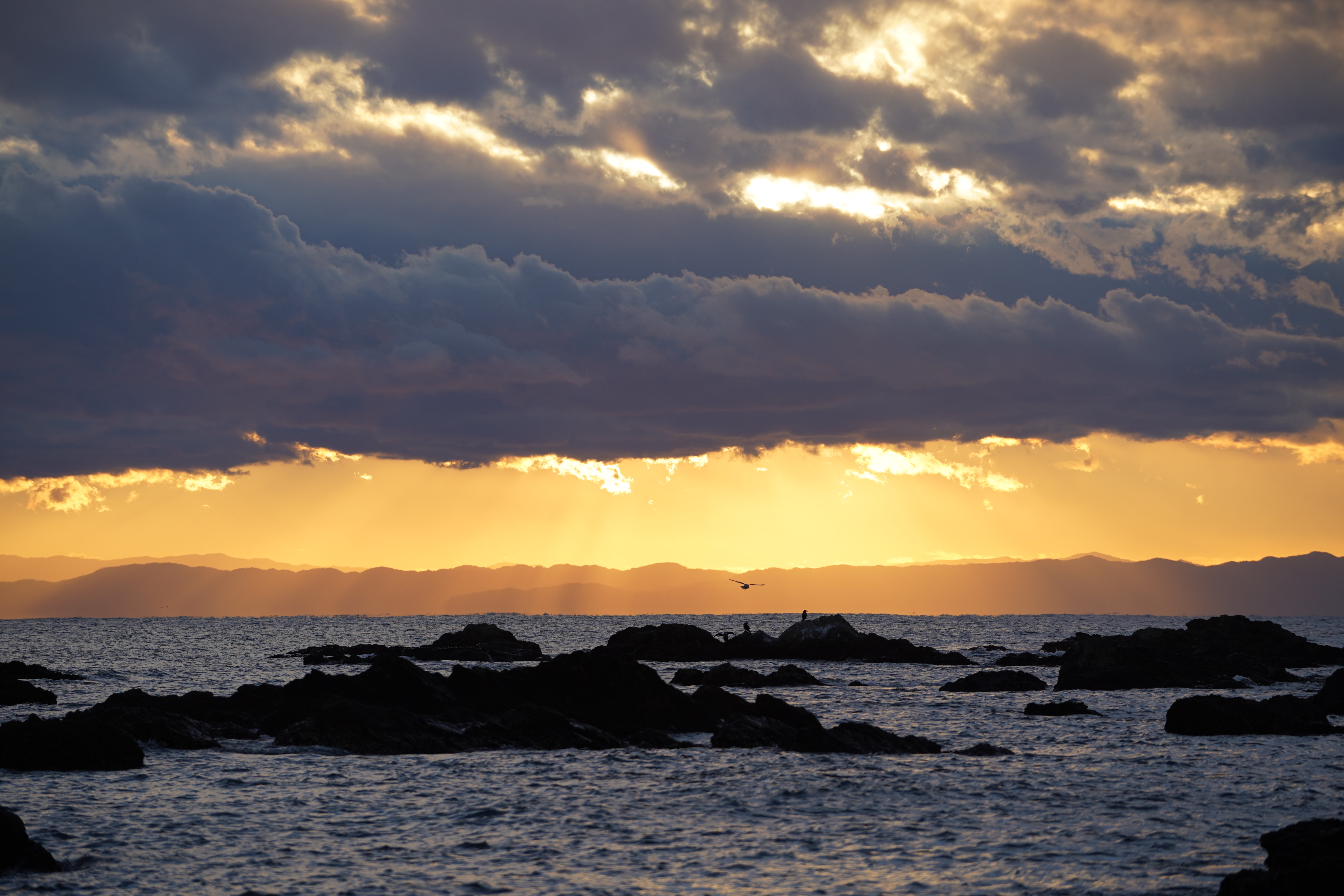 森戸海岸の夕日と鳥 森戸海岸の夕日と鳥