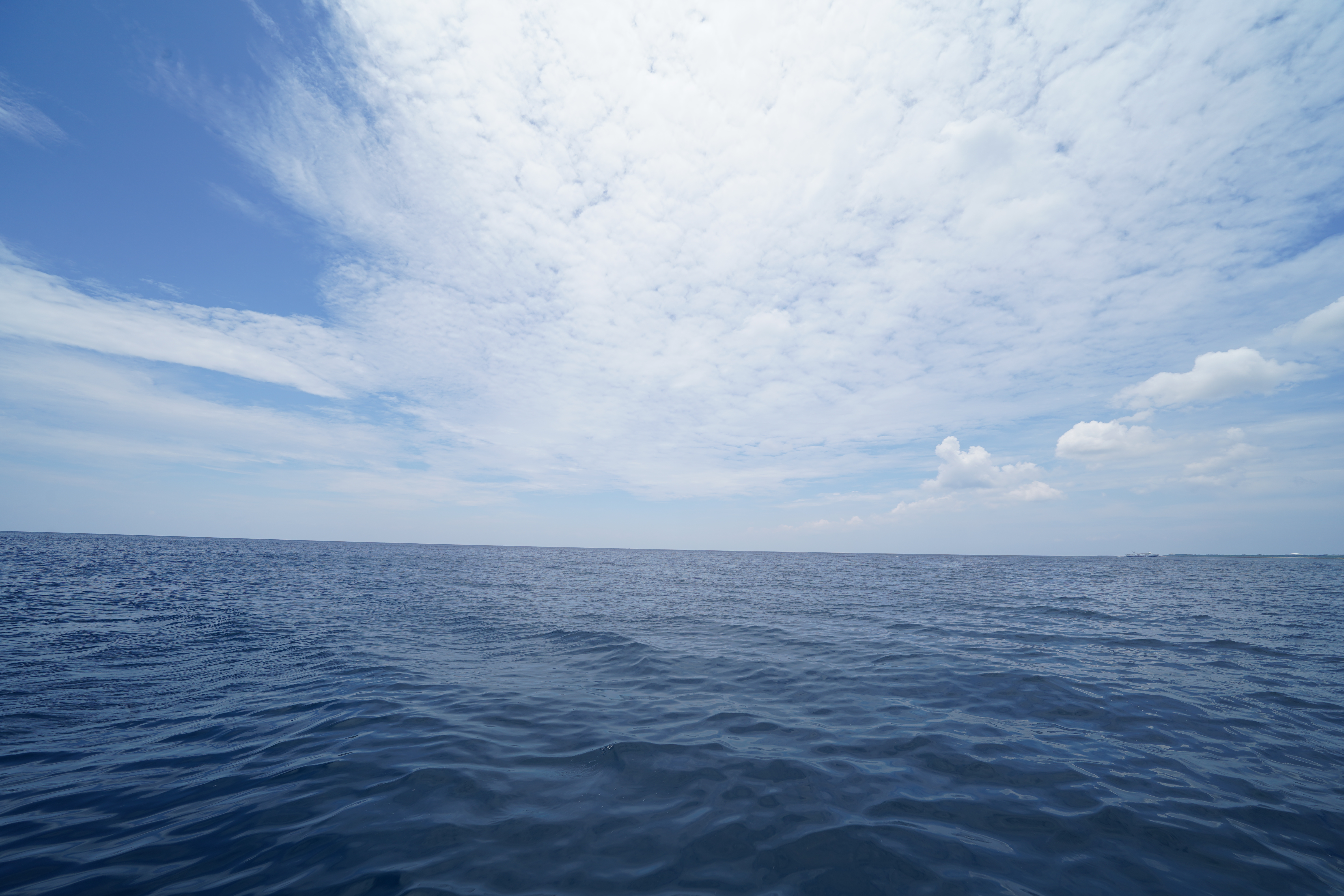 海側は晴れている