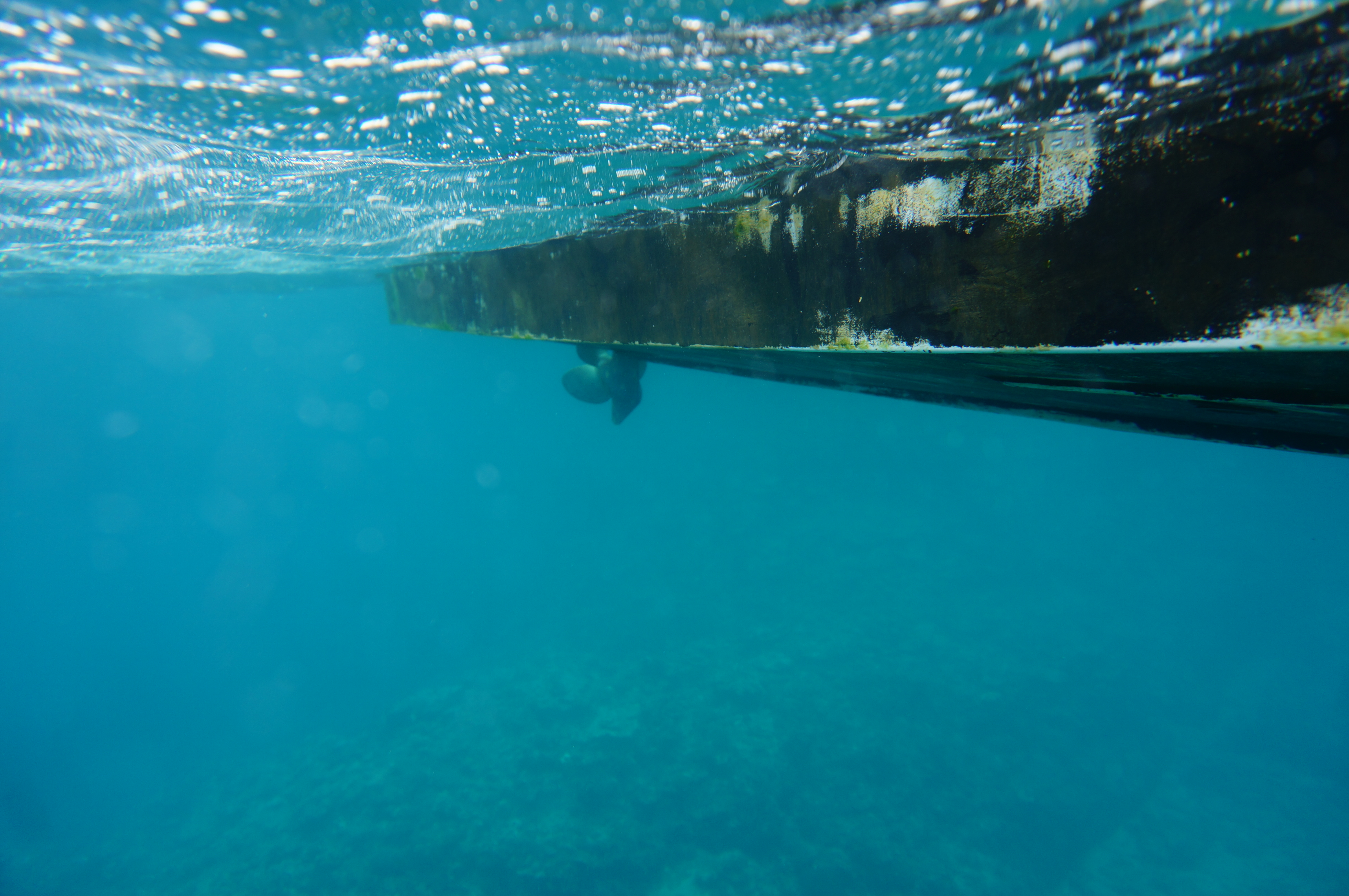 漁船のプロペラ