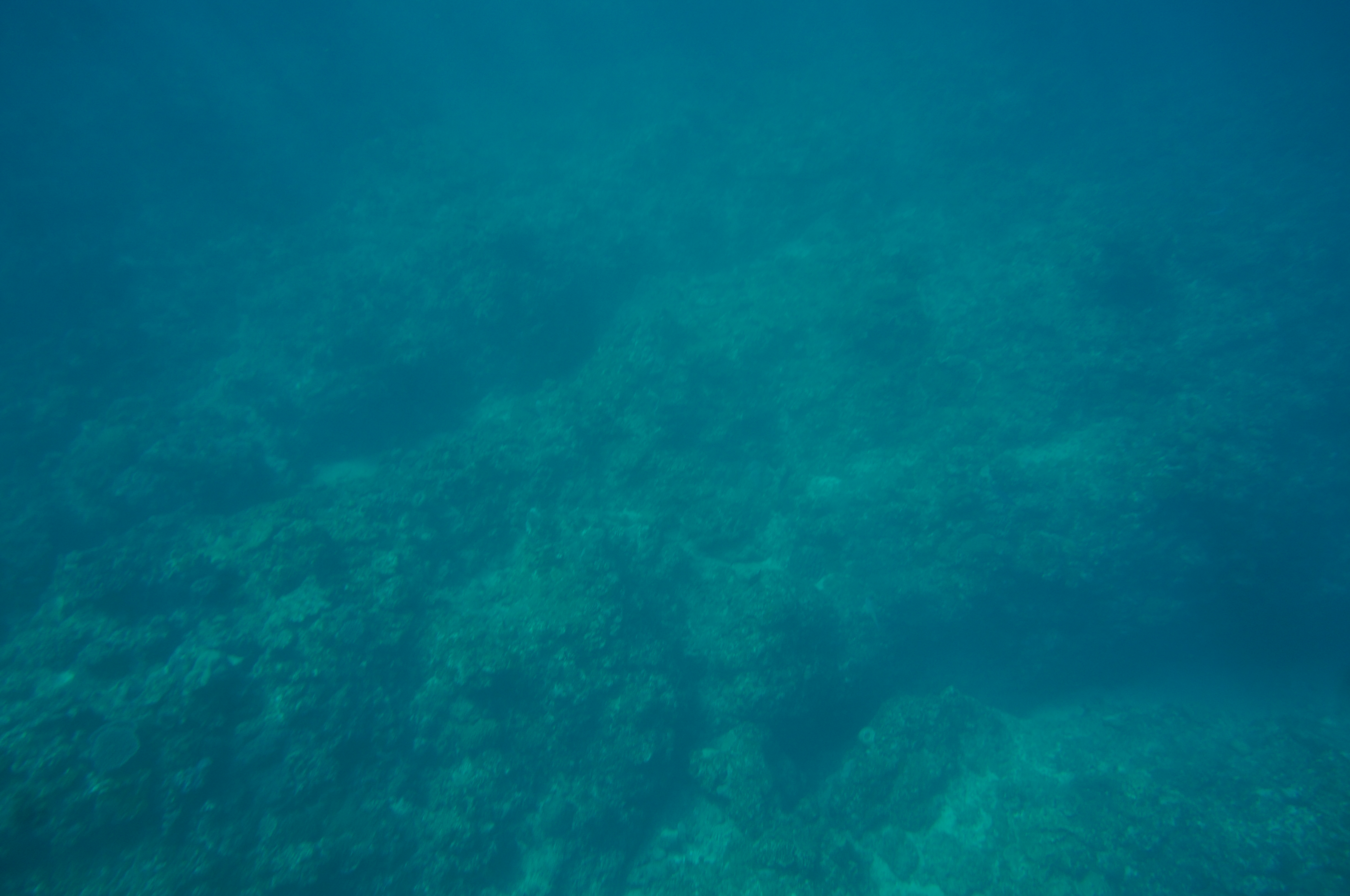 停泊中の漁船から見た海底１