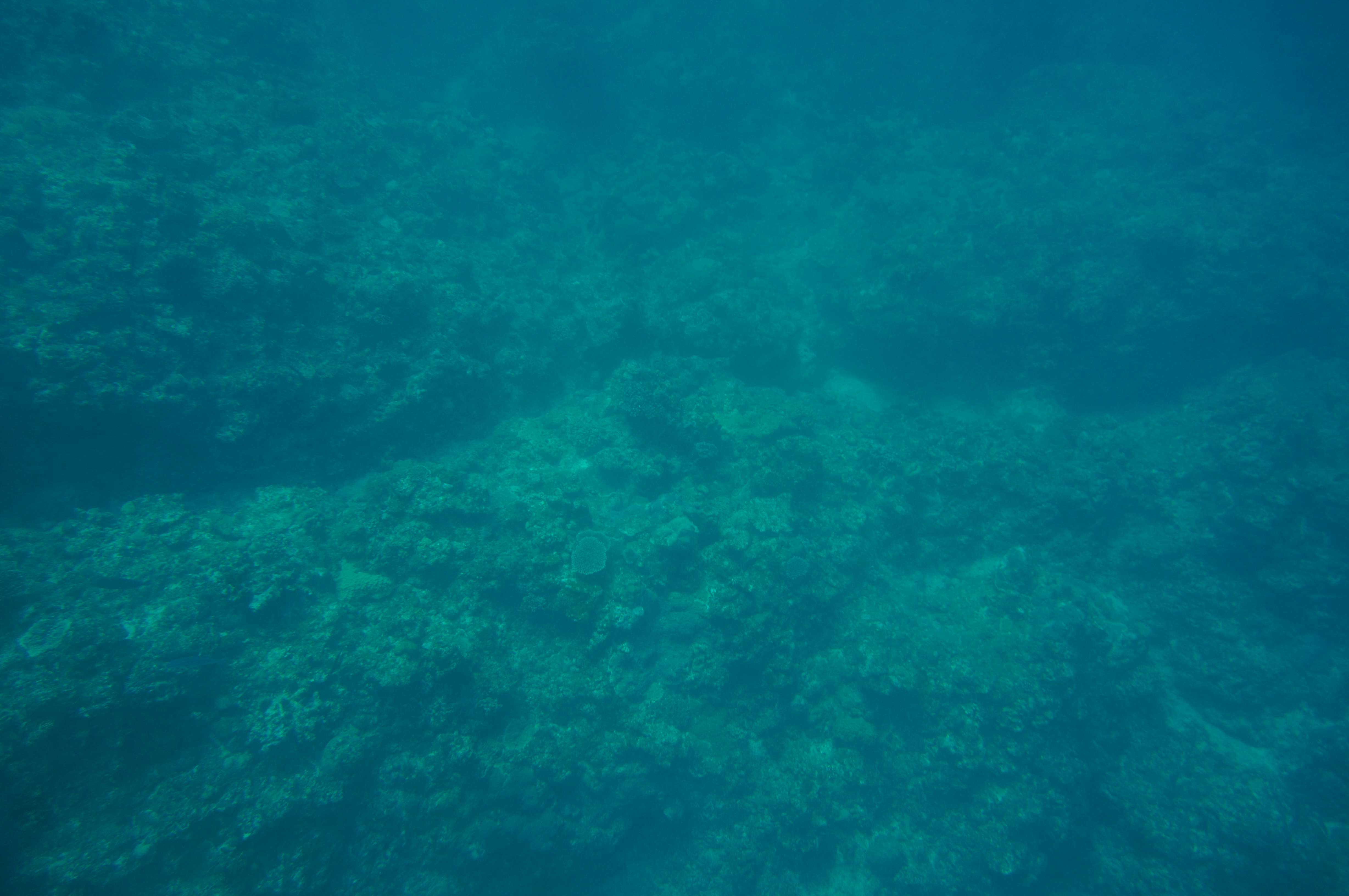 停泊中の漁船から見た海底１