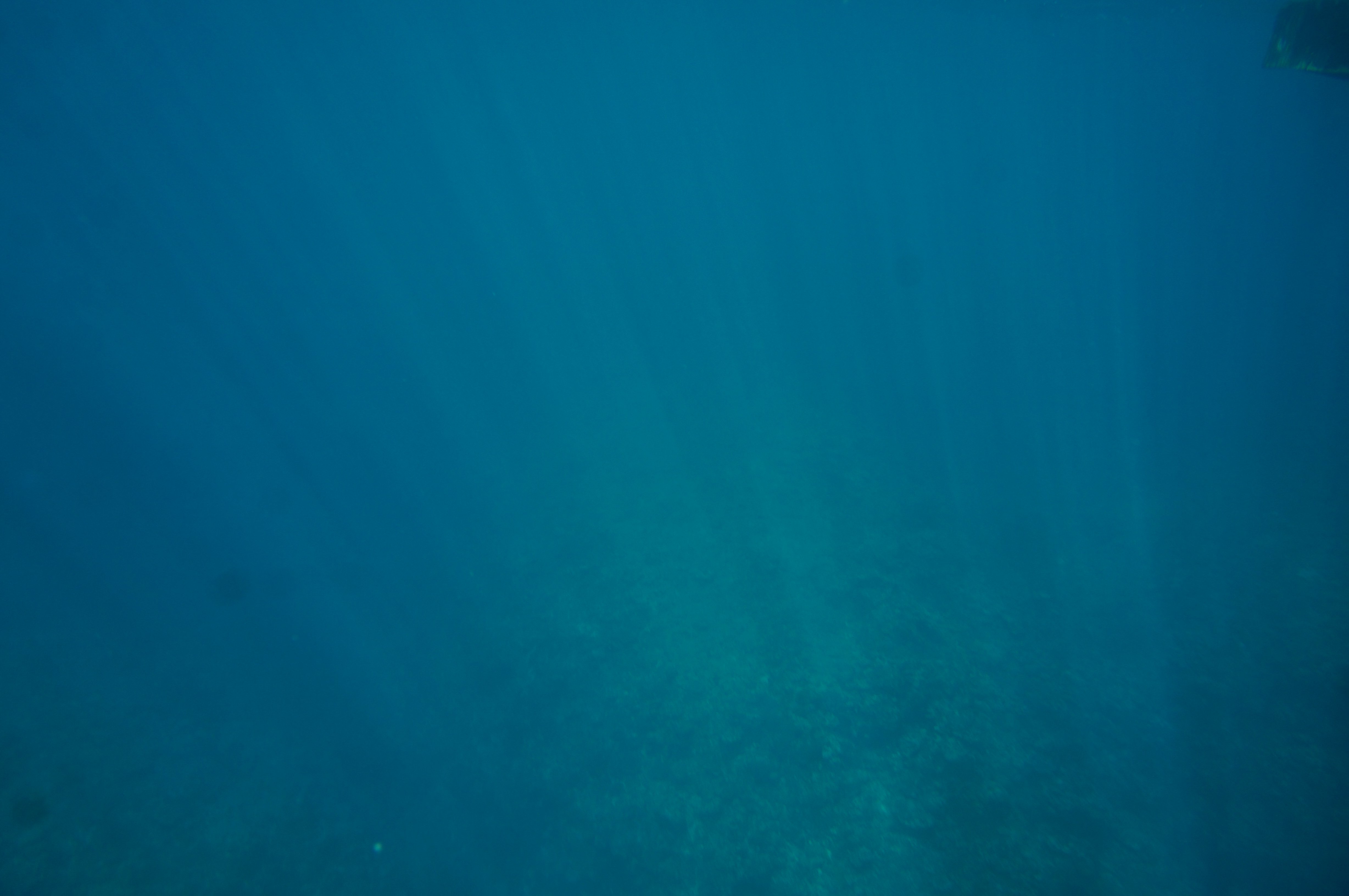 海中に光が差し込む