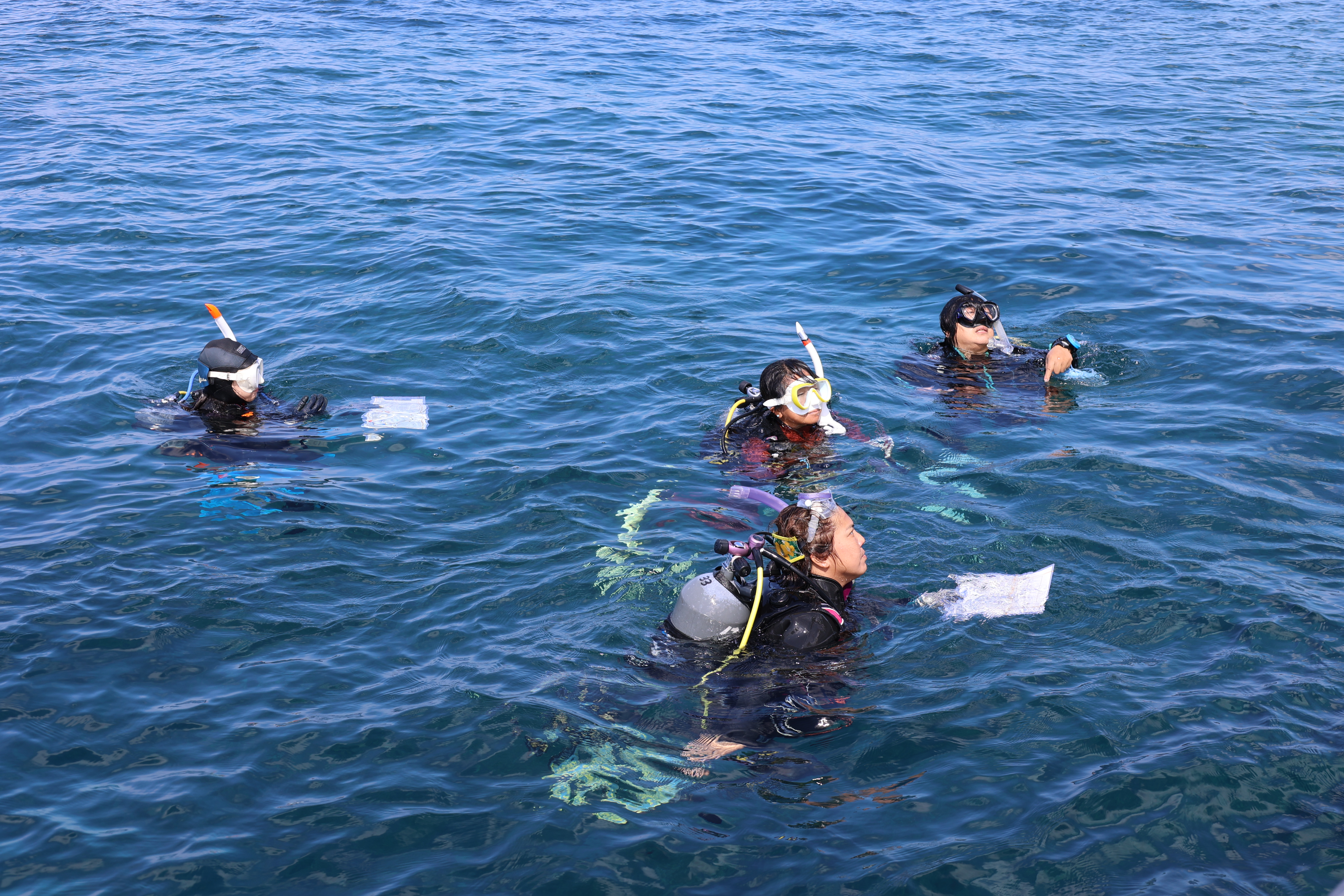 メジャー設営部隊先行ダイビング