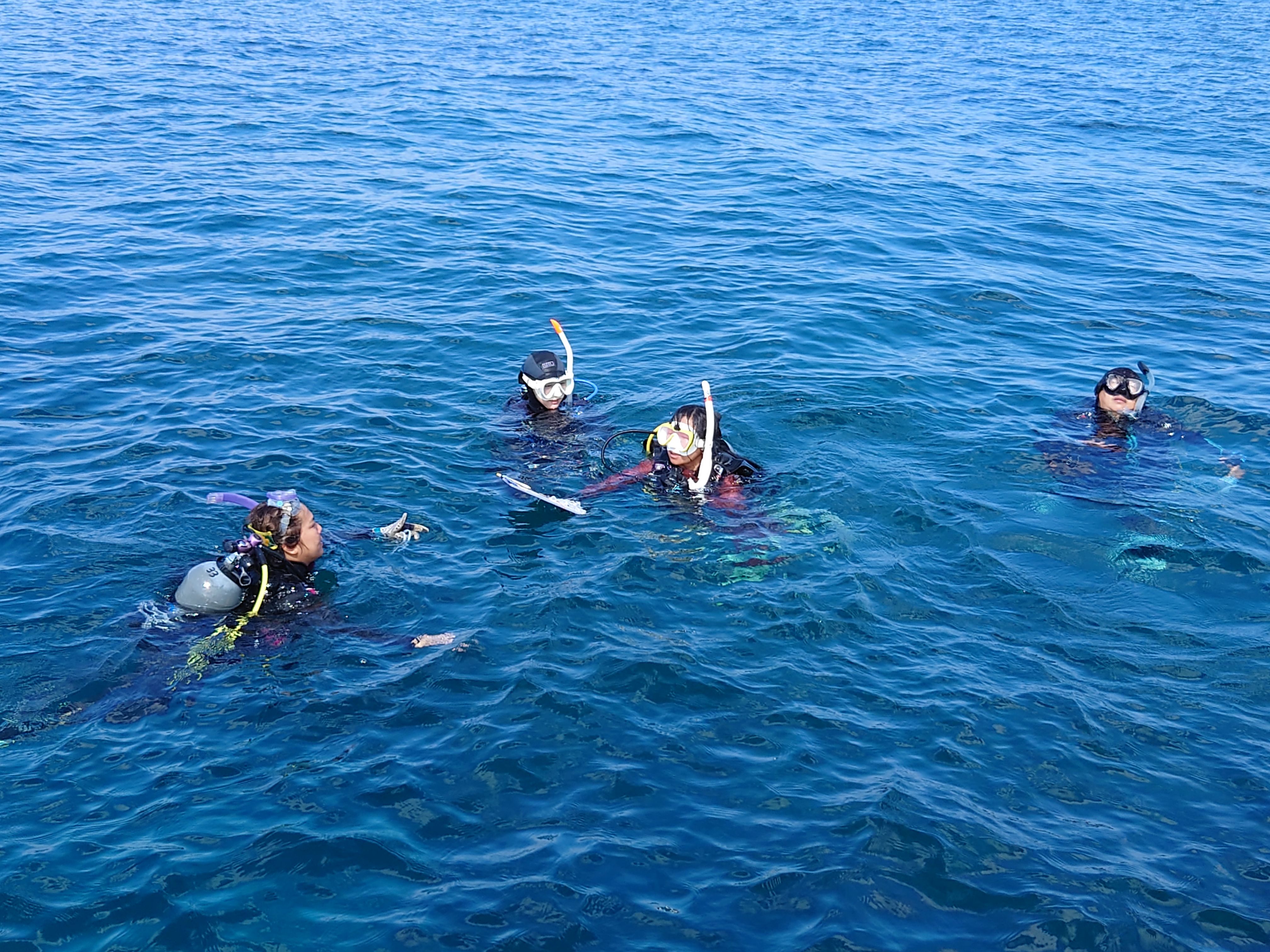 リーフチェックのメジャー設置チーム先行ダイビング