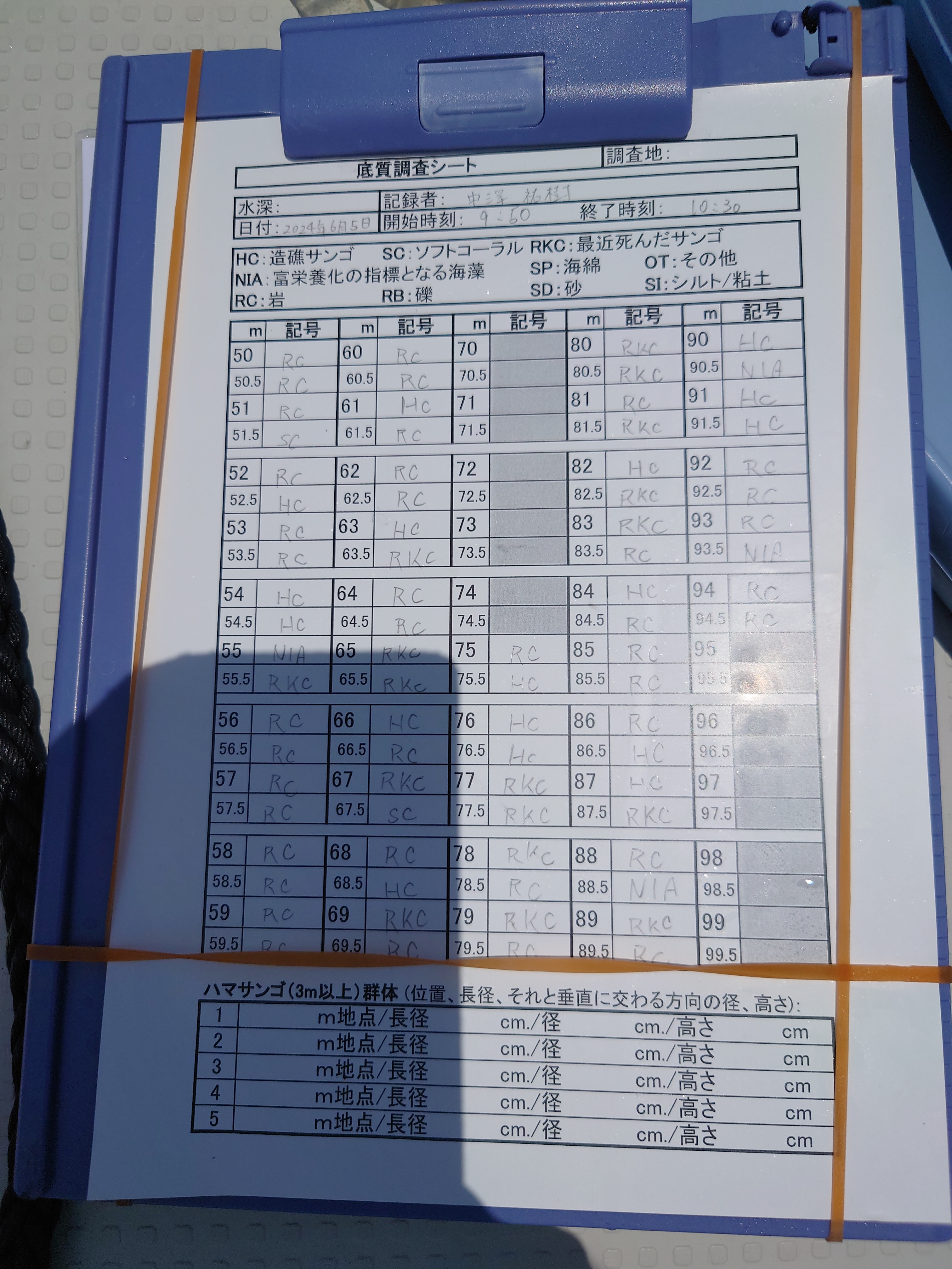 リーフチェック調査シート