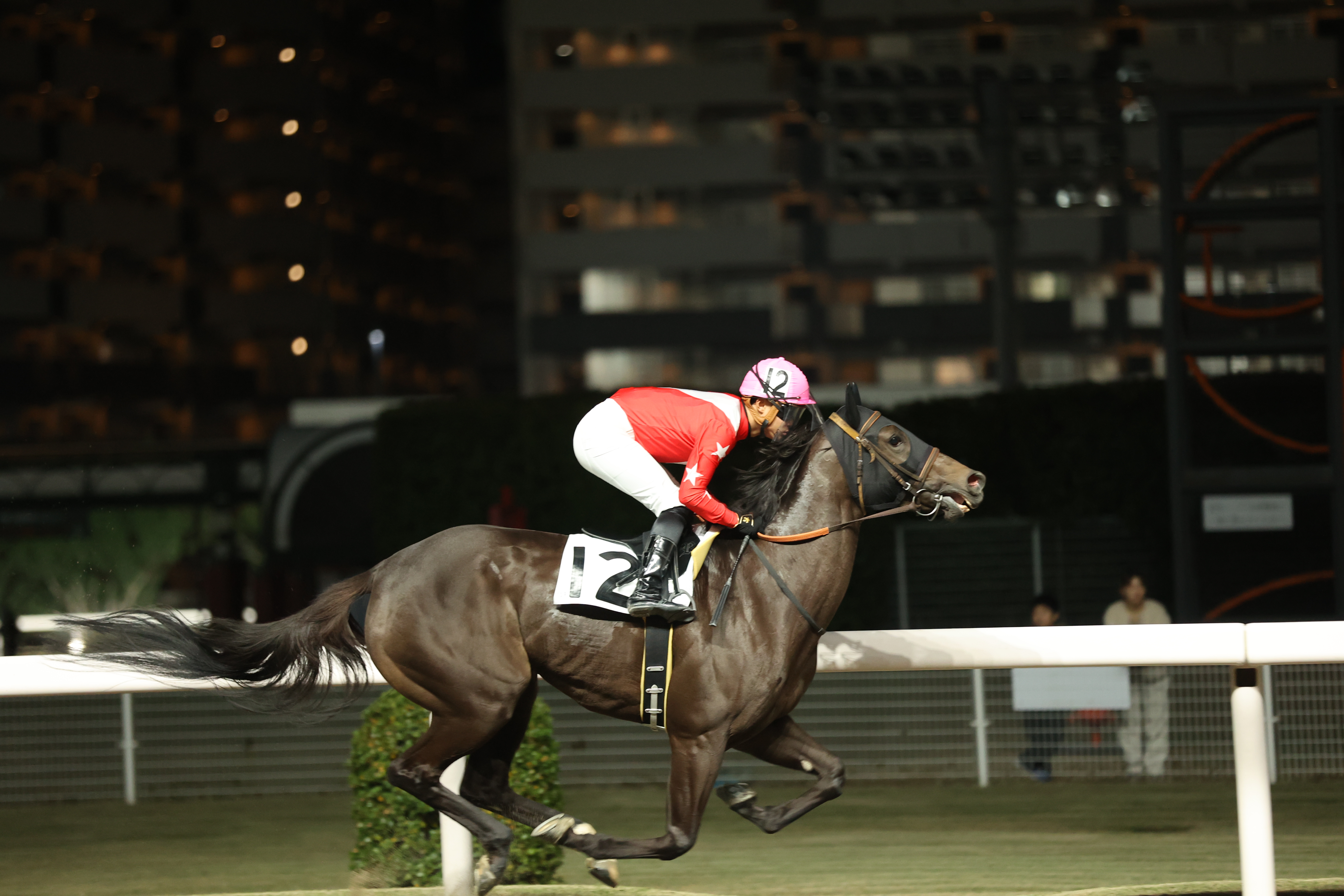 ラジエーション順調に進む１