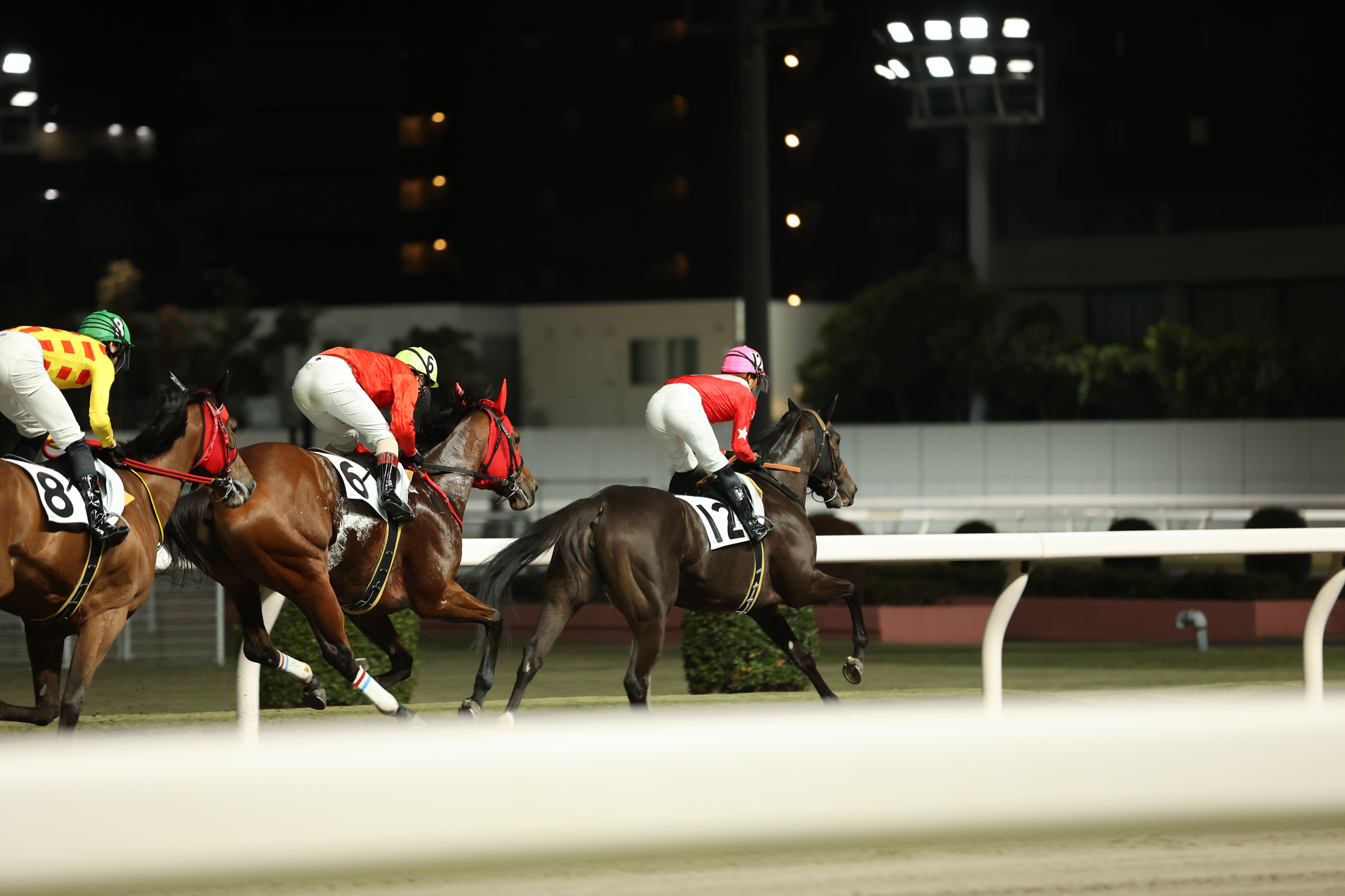 ラジエーション順調に進む２