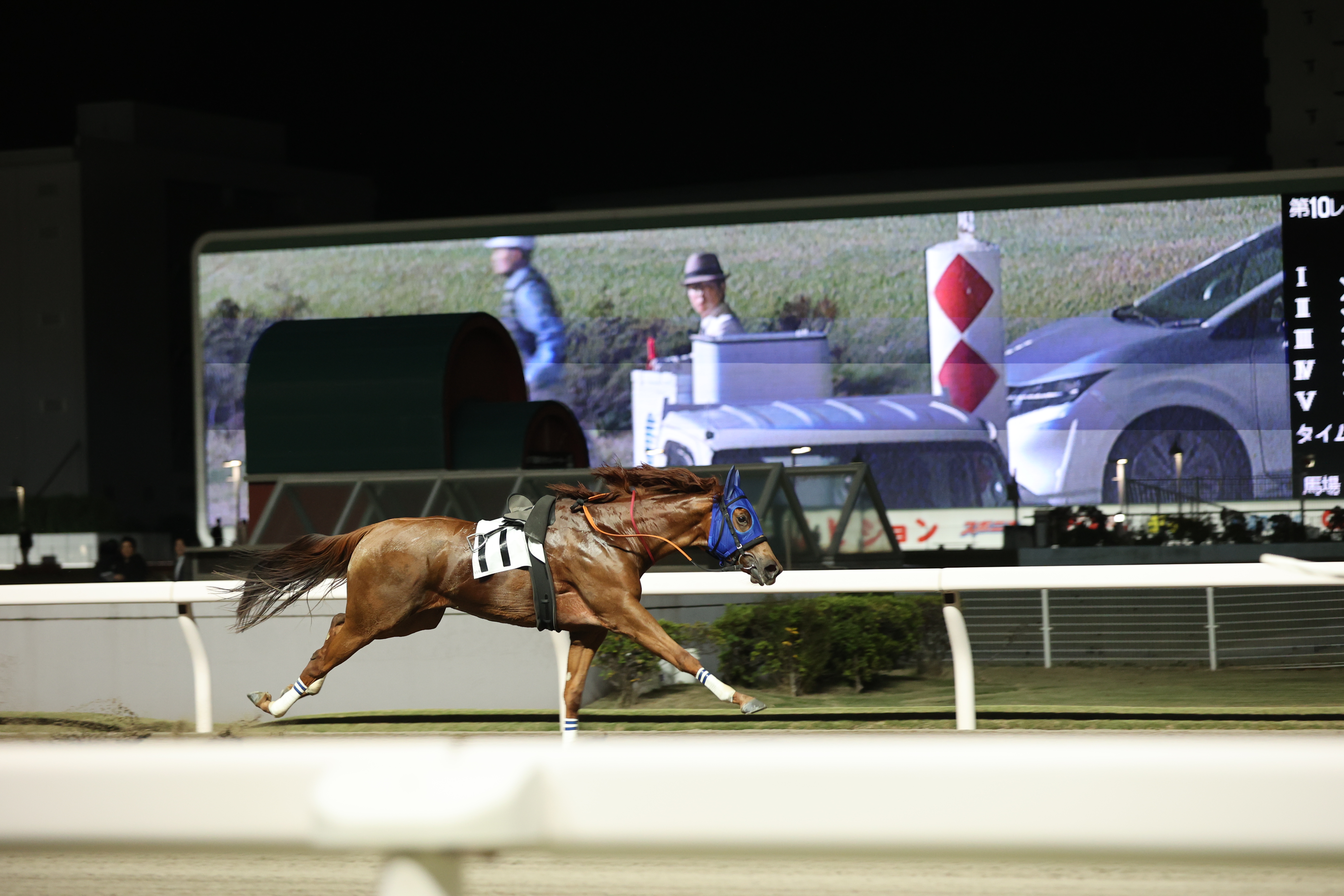 川崎10R時雨空特別ラジエーション2着、ピーエムナナ独走