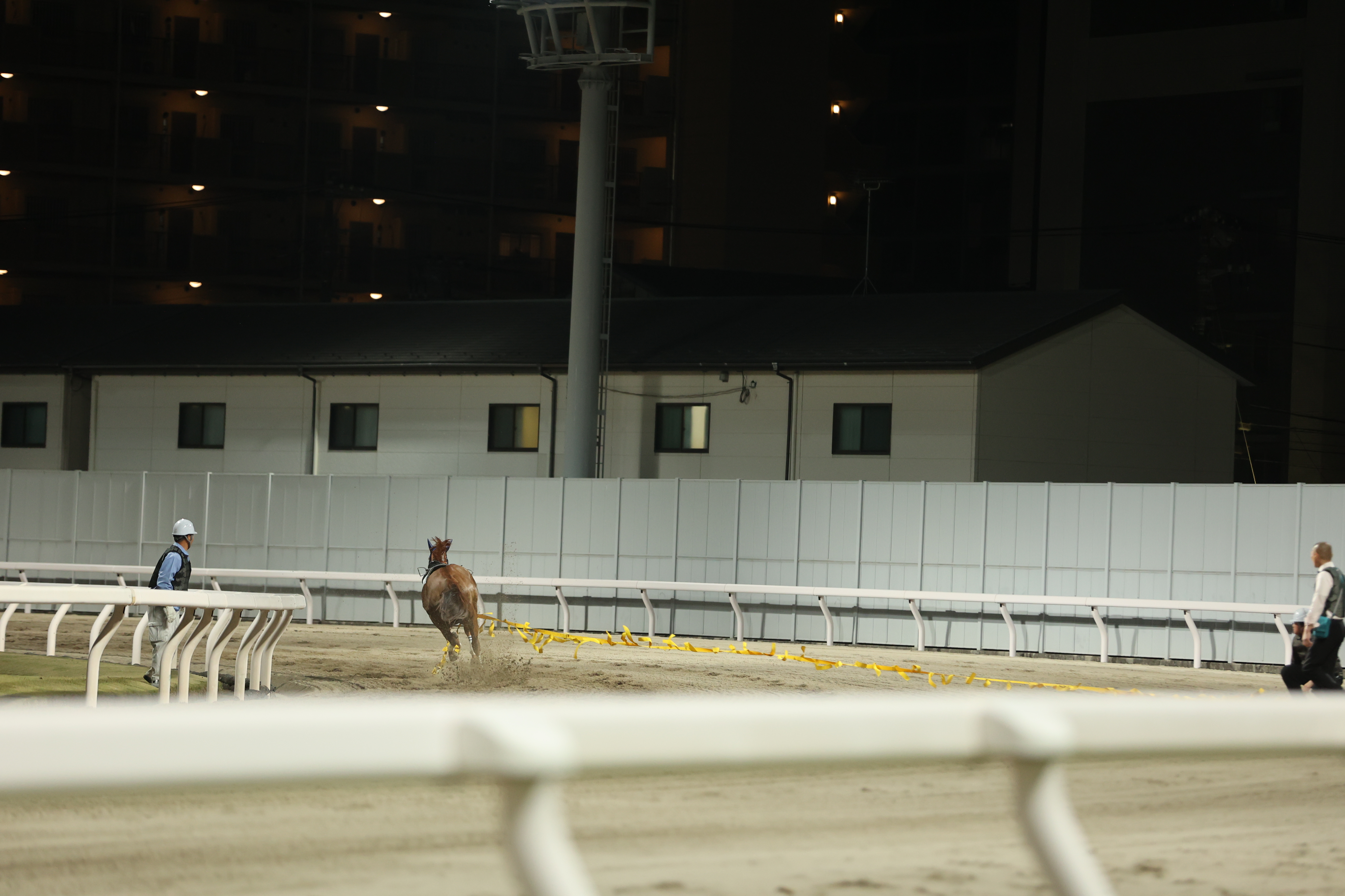 ピーエムナナ独走８と停止テープを蹴り出す