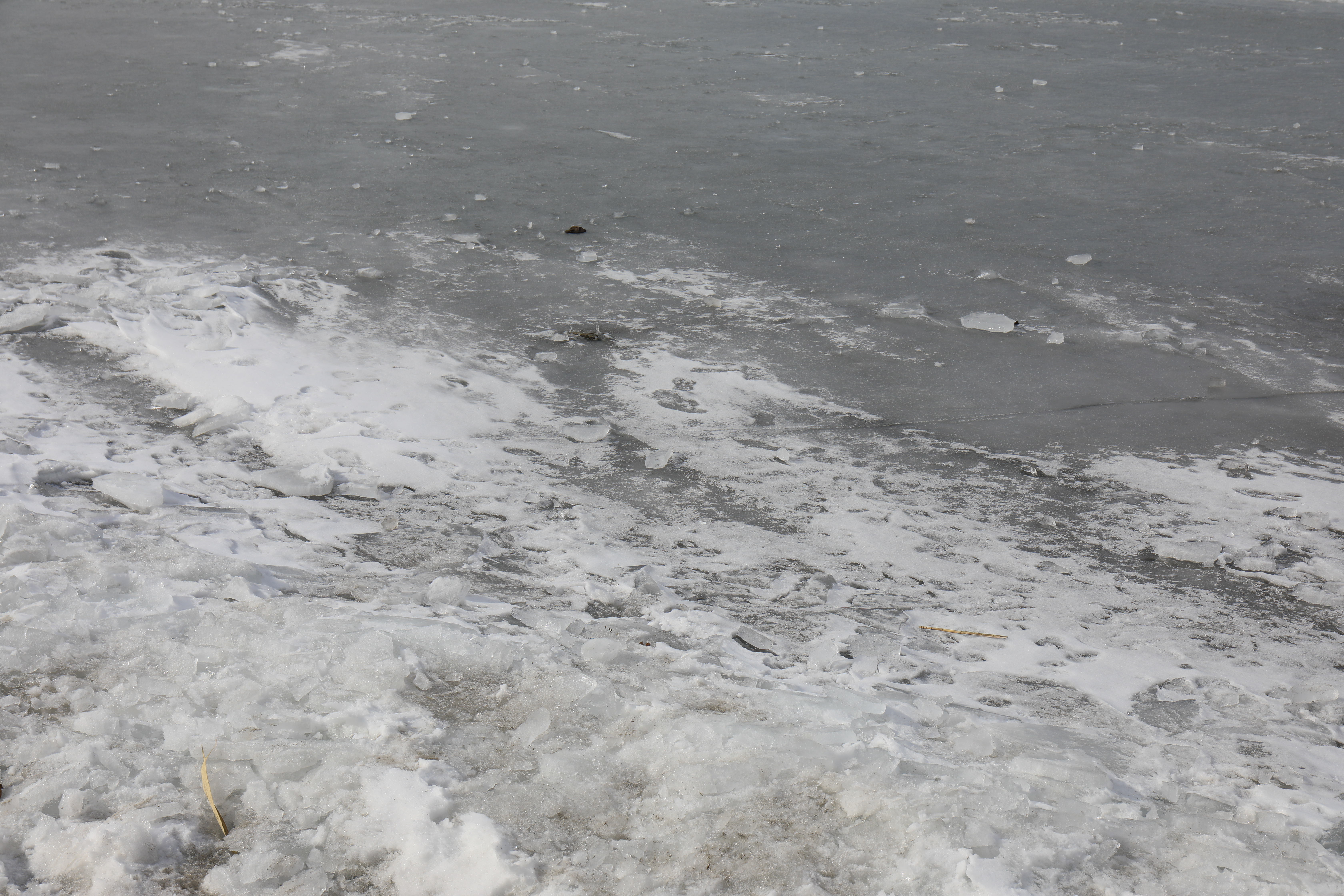 波際の凍結部分