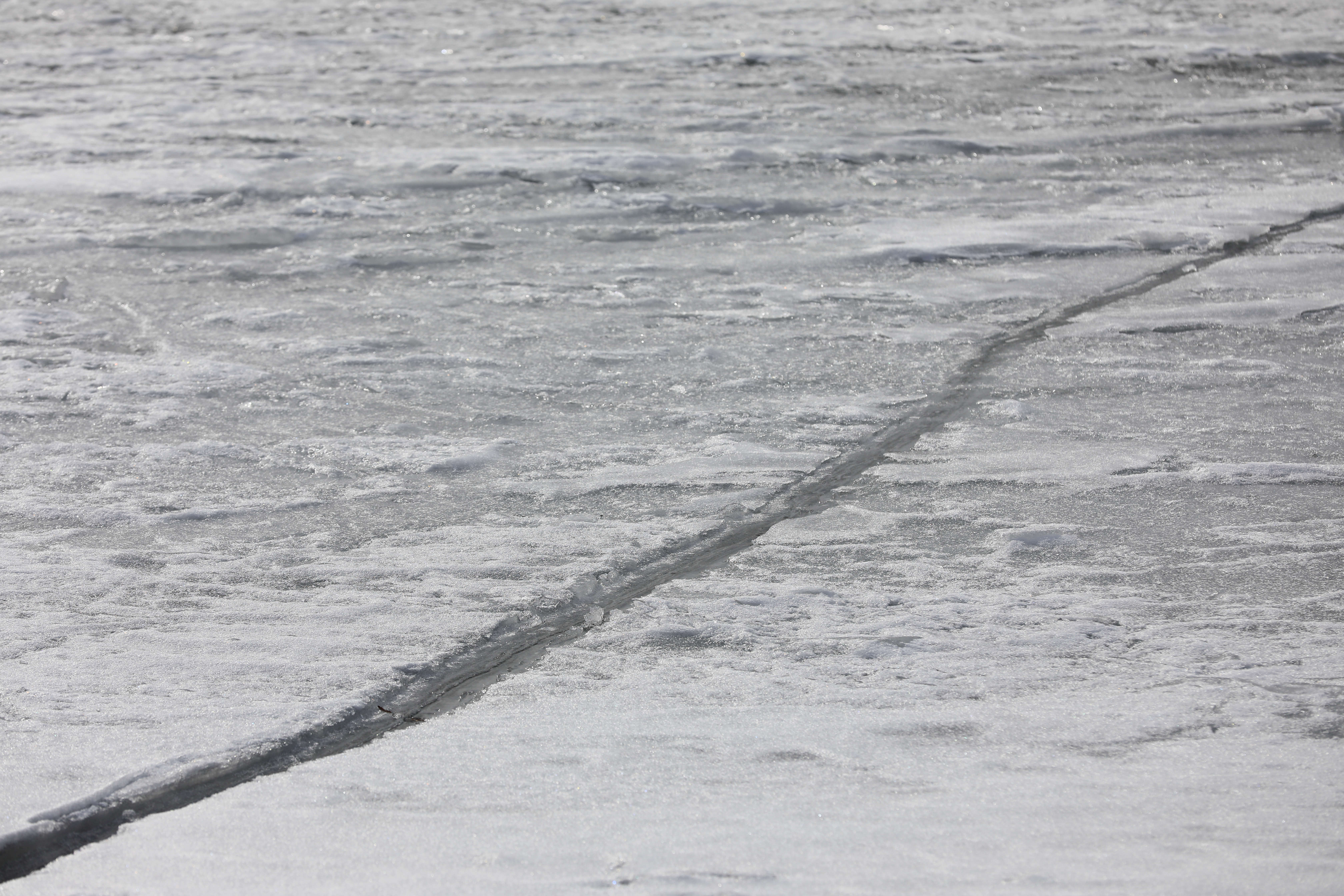 諏訪湖プチ御神渡り、汽車D51