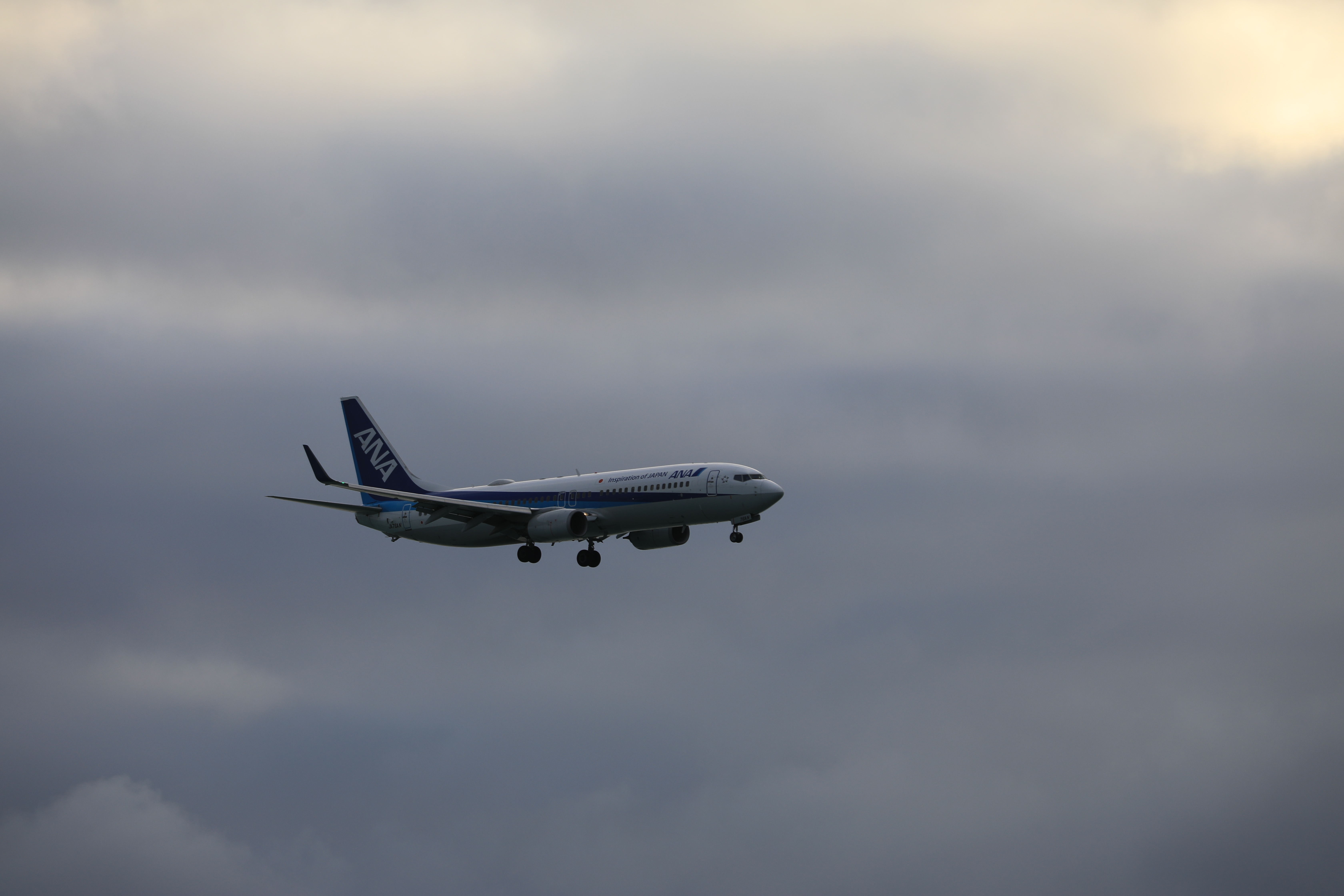 ANAの飛行機２