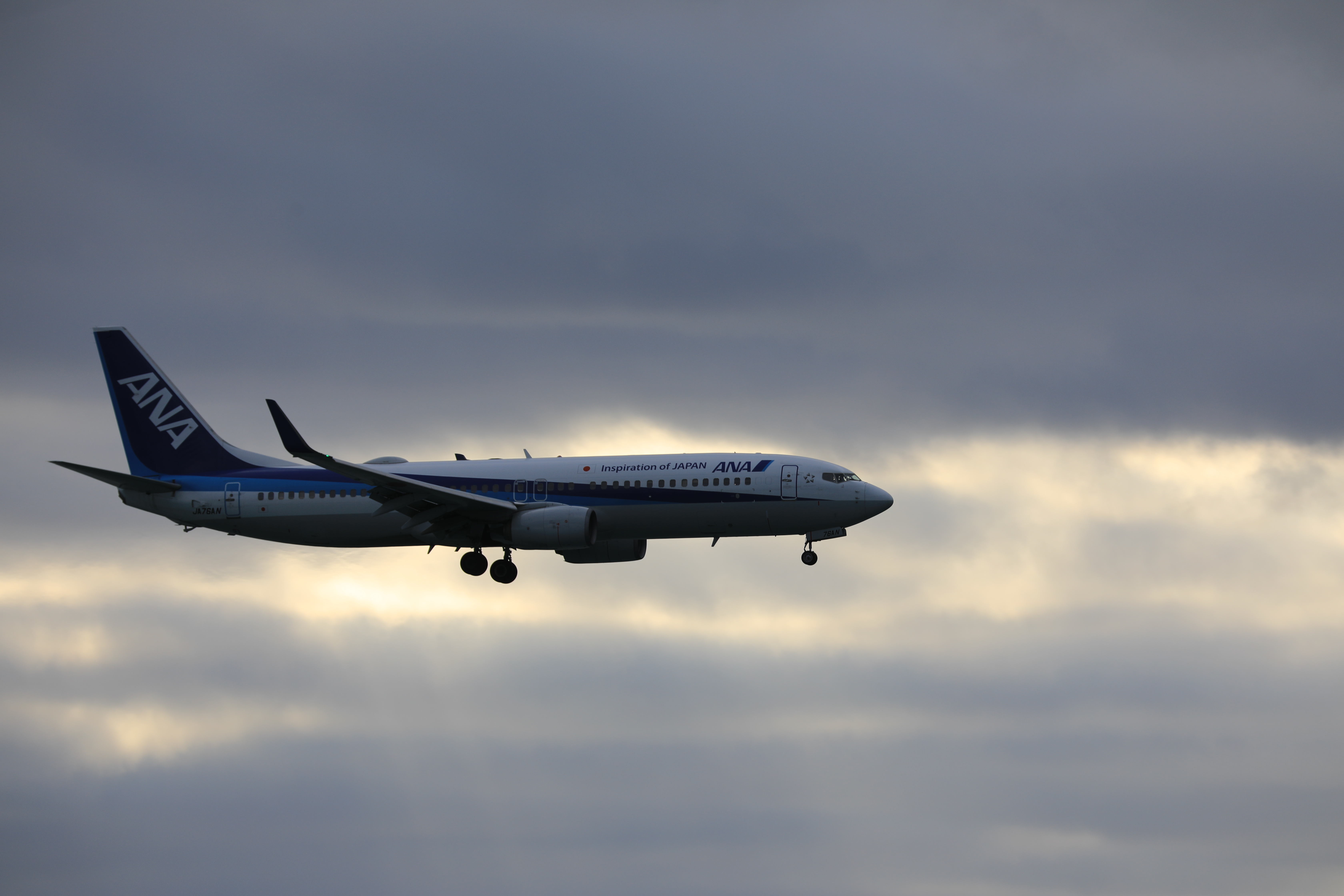 ANAの飛行機３