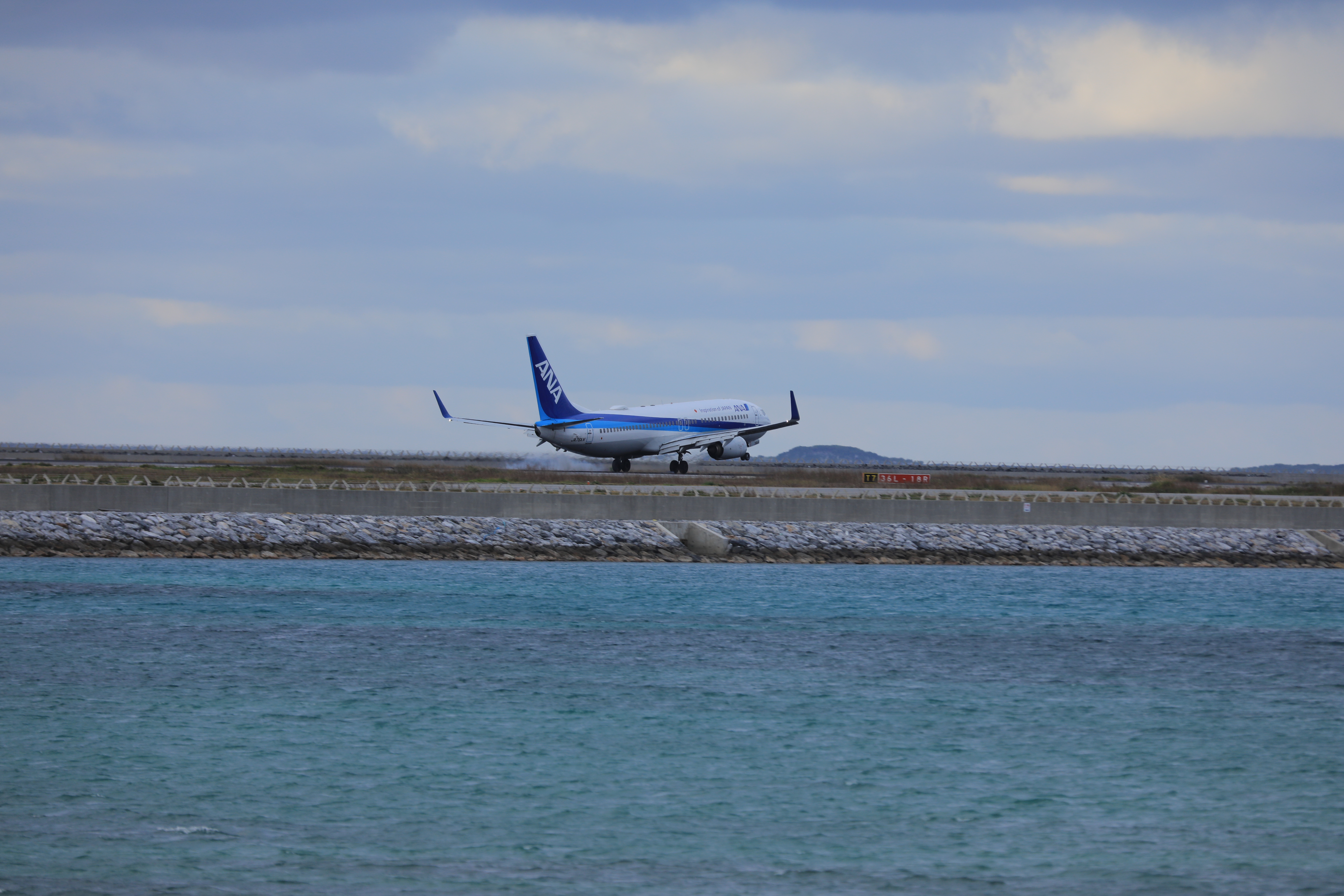 ANAの飛行機の着陸 ANAの飛行機の着陸