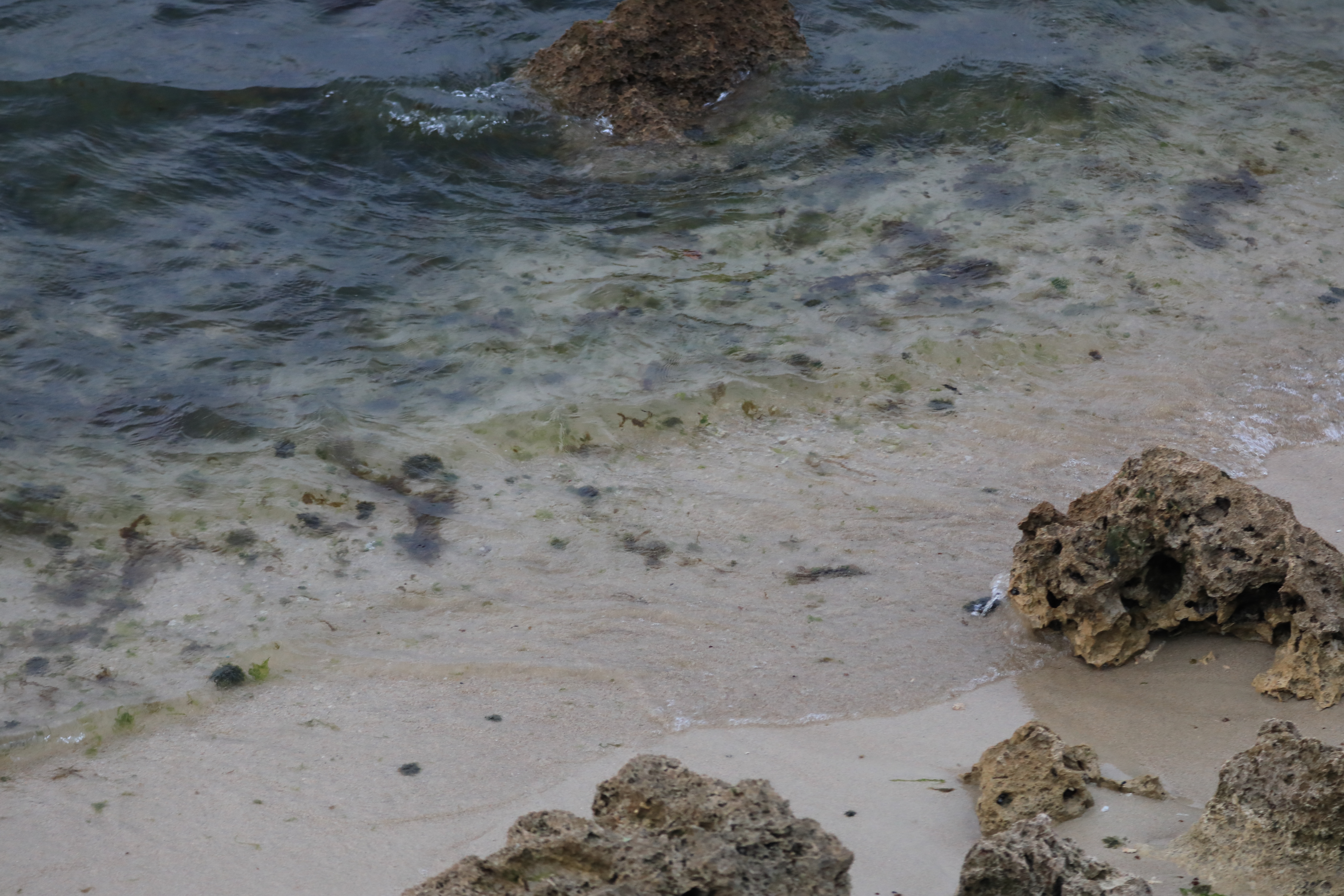 瀬長島の砂浜２